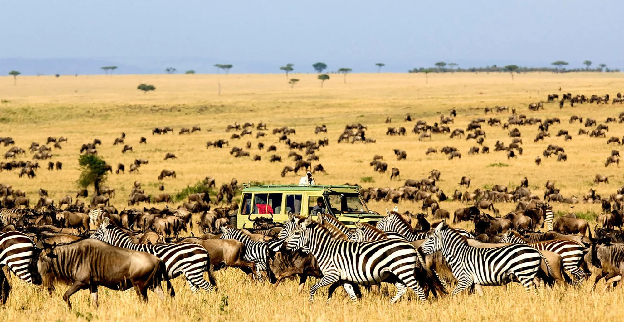 Safari de 3 jours en avion à Masai Mara