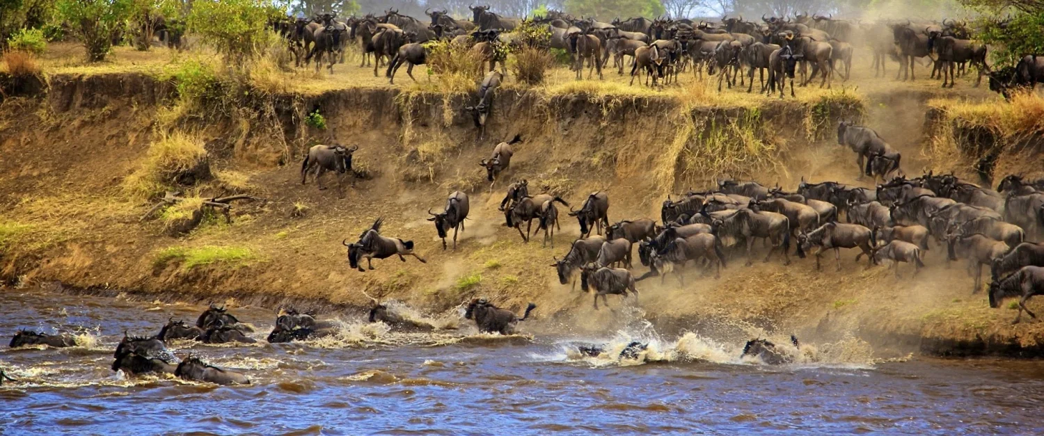 7-Day Kenya Rift Valley Lakes & Masai Mara Fly-In Safari