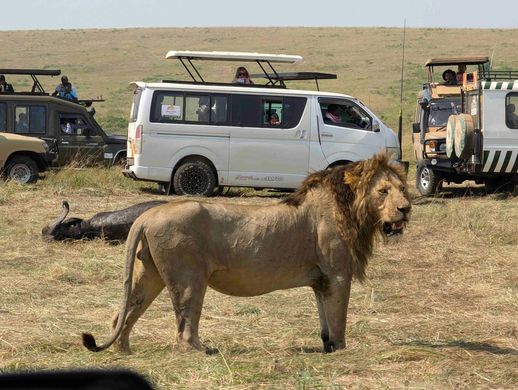 Safari di 5 Giorni a Lake Naivasha e Masai Mara