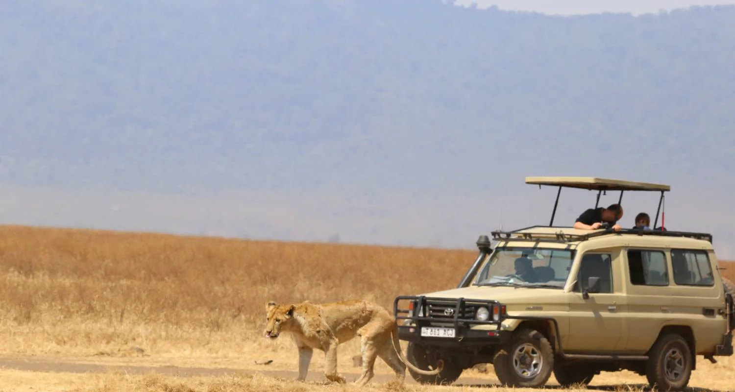 5-tägige Safari durch Mikumi & Nyerere — Die beiden nächstgelegenen Wildnisparks ab Dar