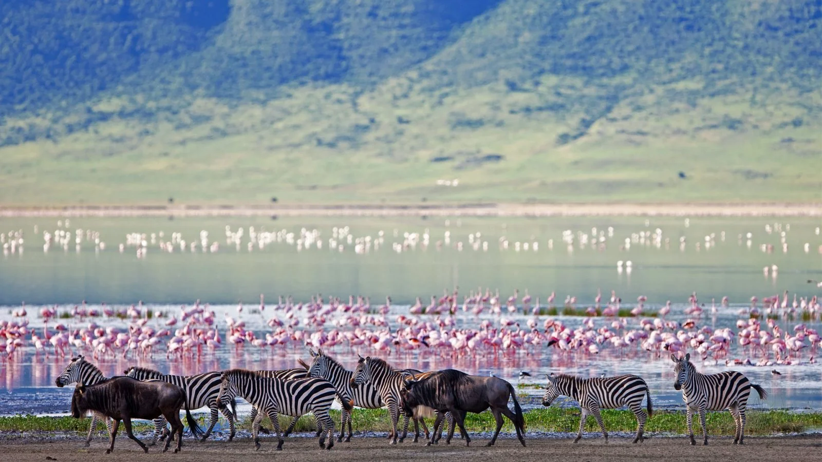 Ngorongoro Conservation Area — 1