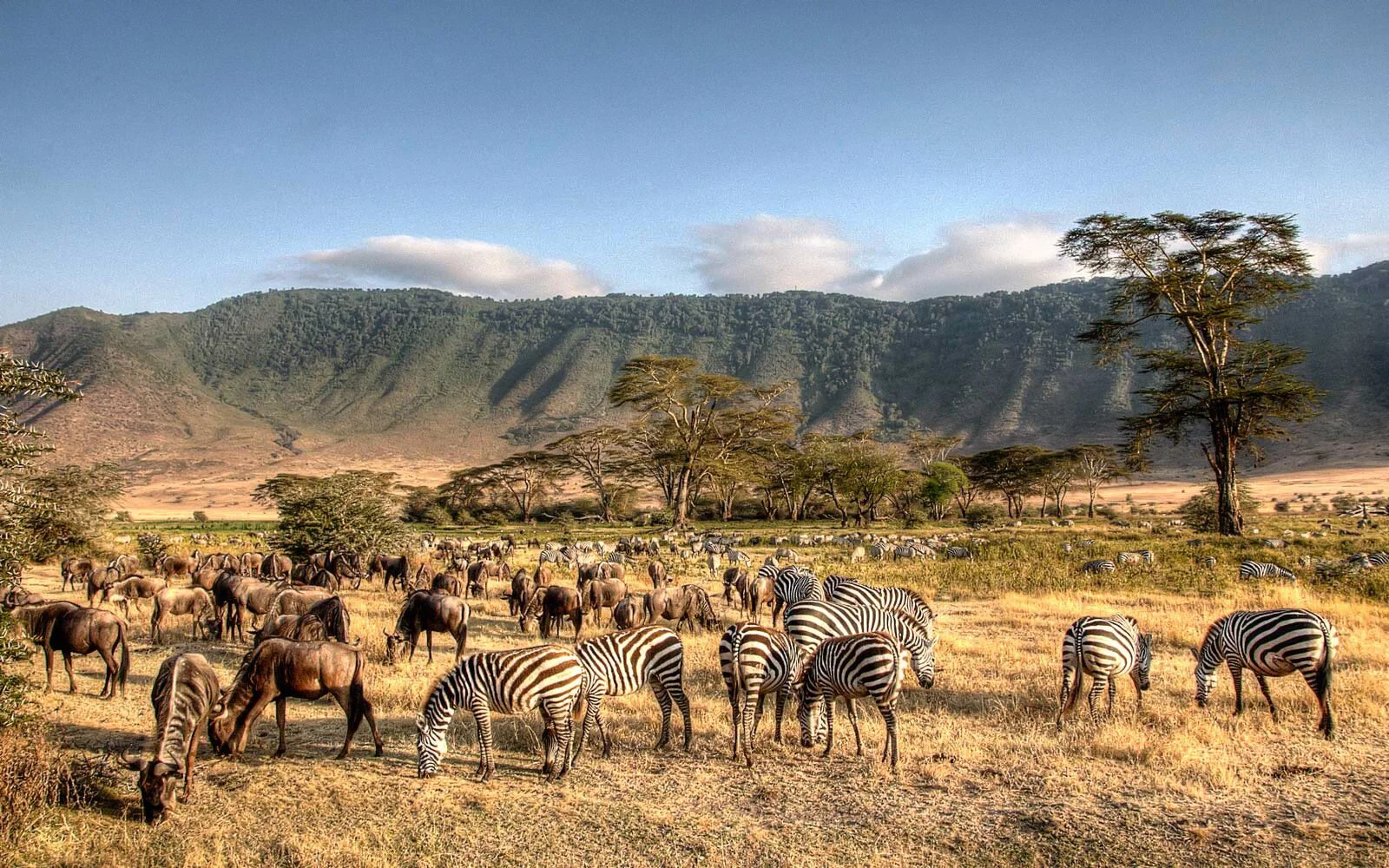 Ngorongoro Conservation Area — 2