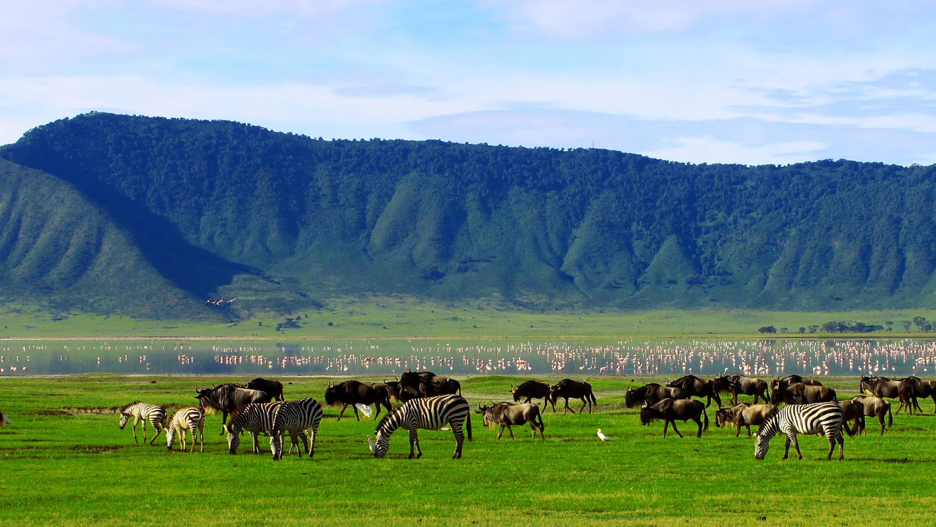 Ngorongoro Conservation Area — 3