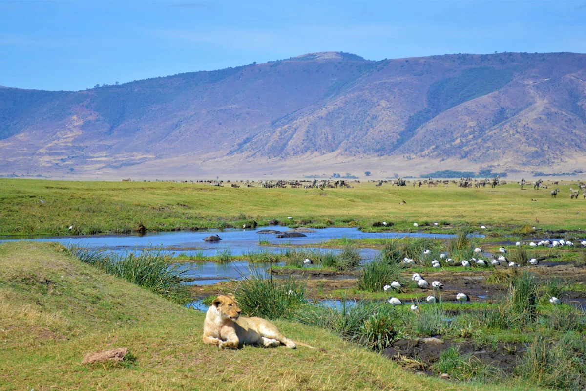 Ngorongoro Conservation Area — 5