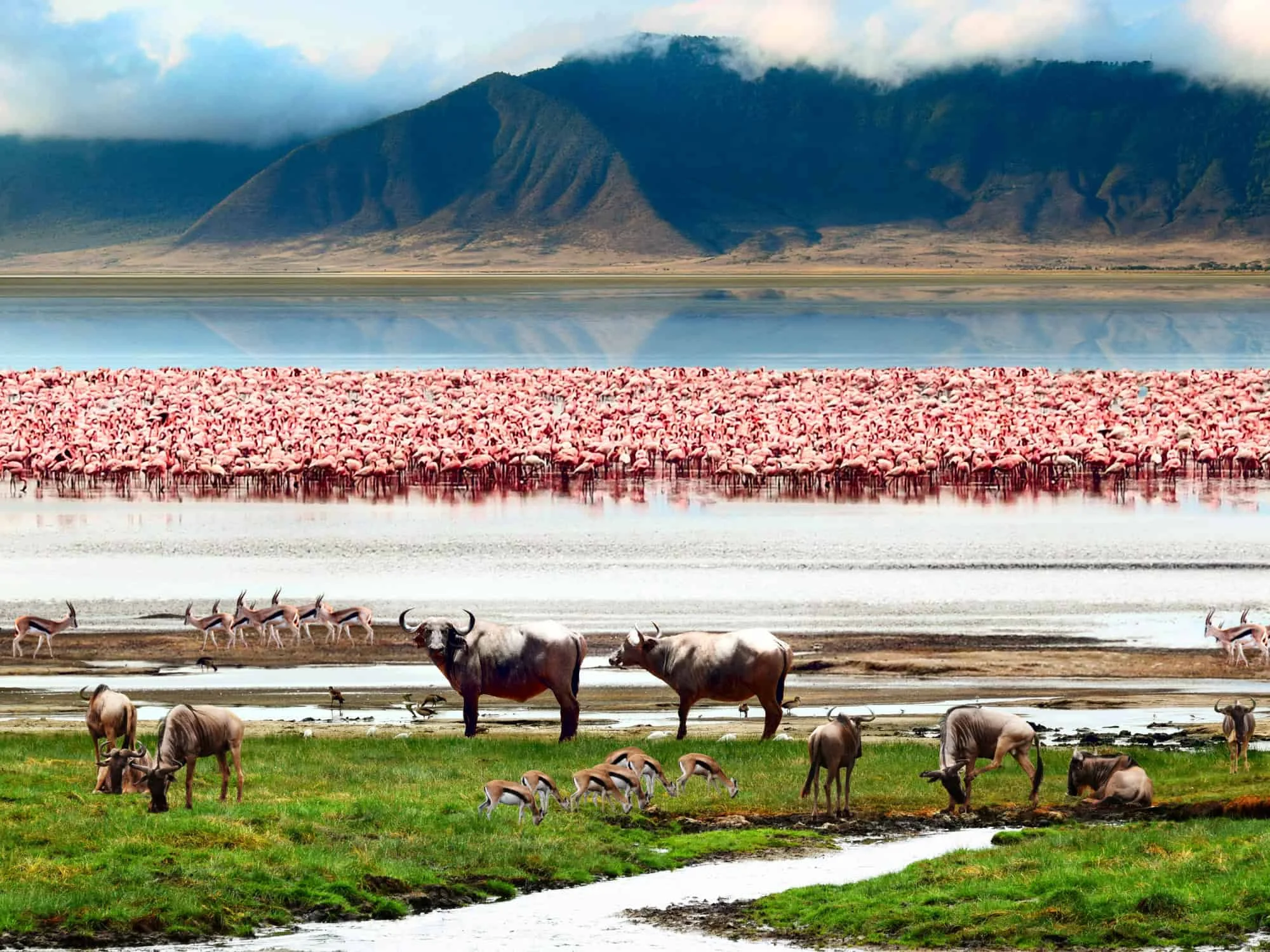 Safari culturel de 3 jours au Ngorongoro et au lac Eyasi