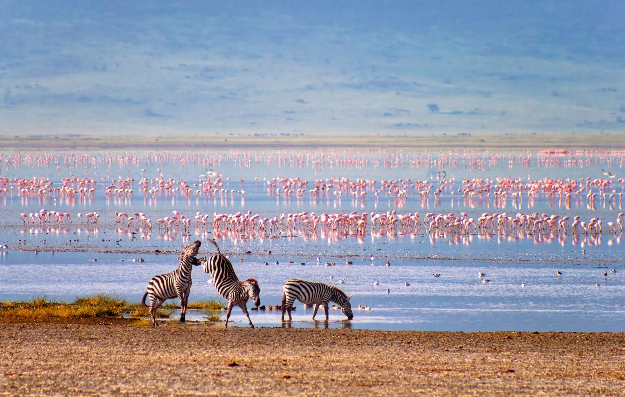 3-Day Serengeti & Ngorongoro Crater Finale