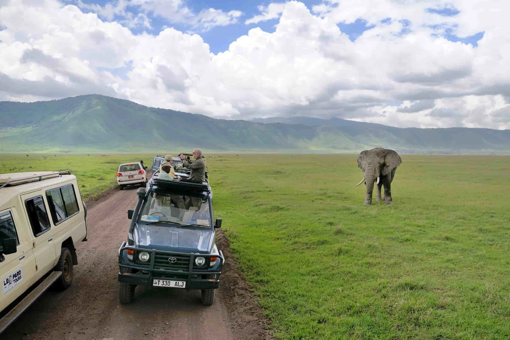 Safari de 2 jours au Lake Manyara et au Ngorongoro