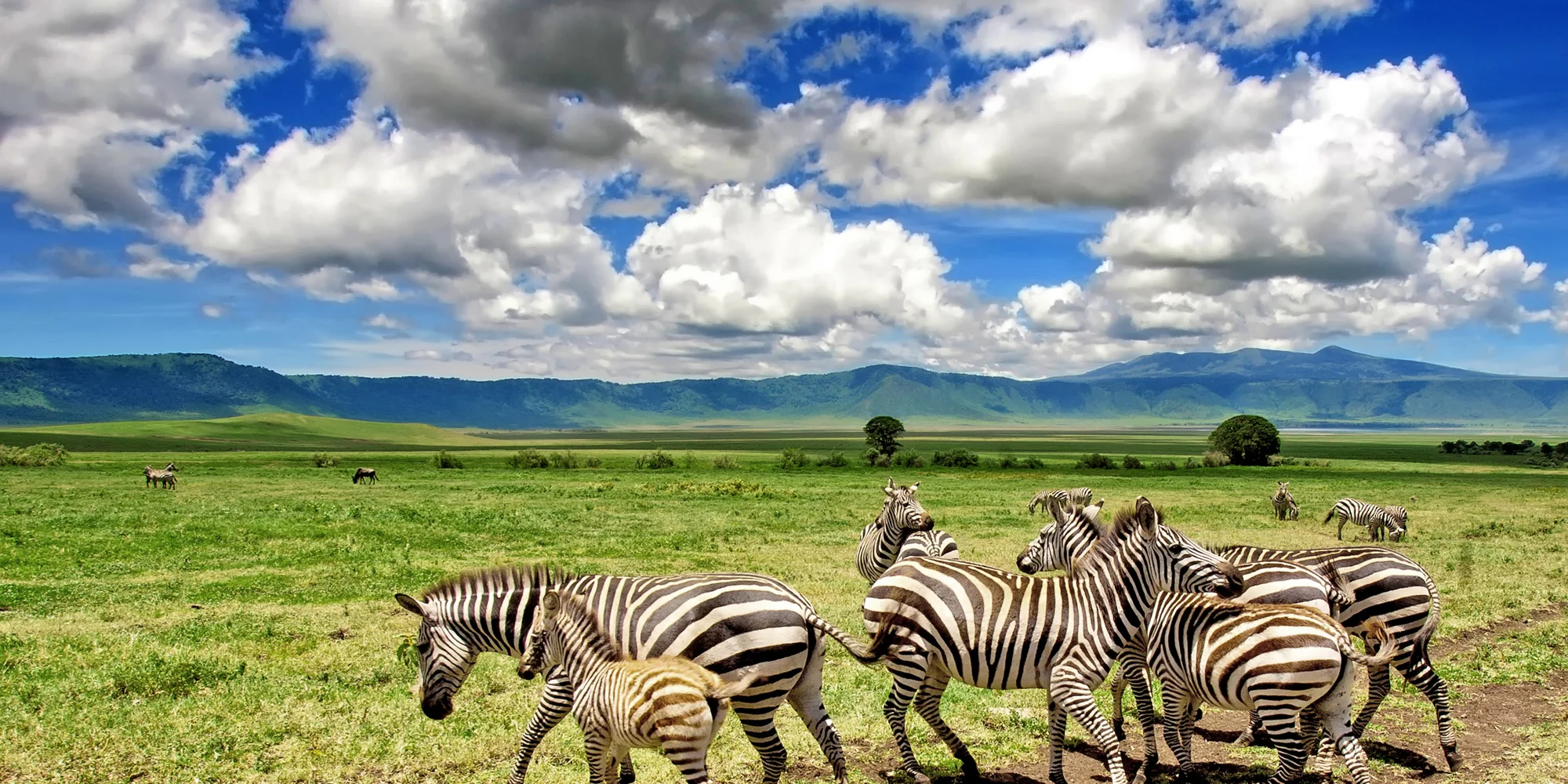 2-Day Lake Manyara & Ngorongoro Safari