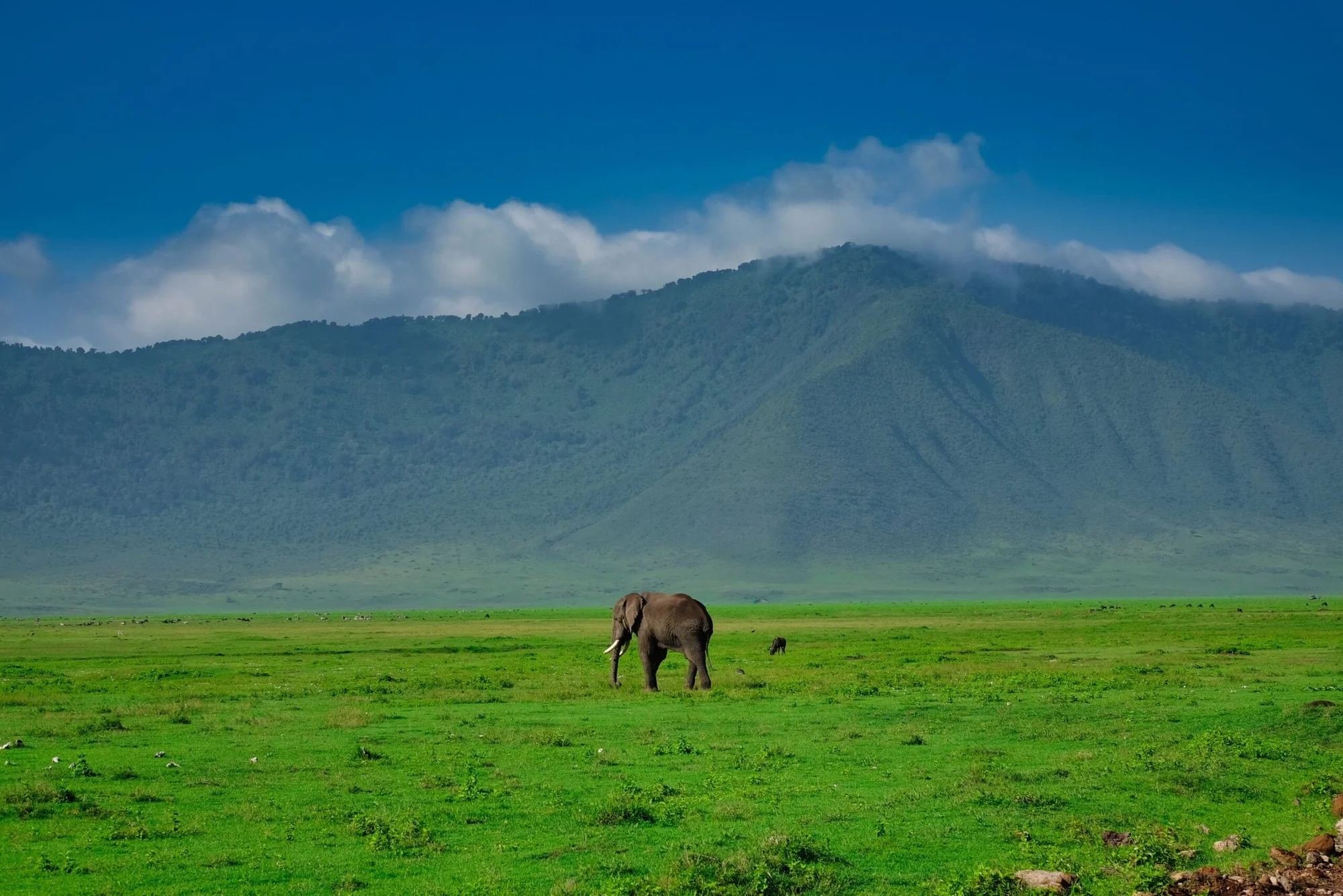 Safari de 5 jours en avion-brousse – Les incontournables du Nord de la Tanzanie