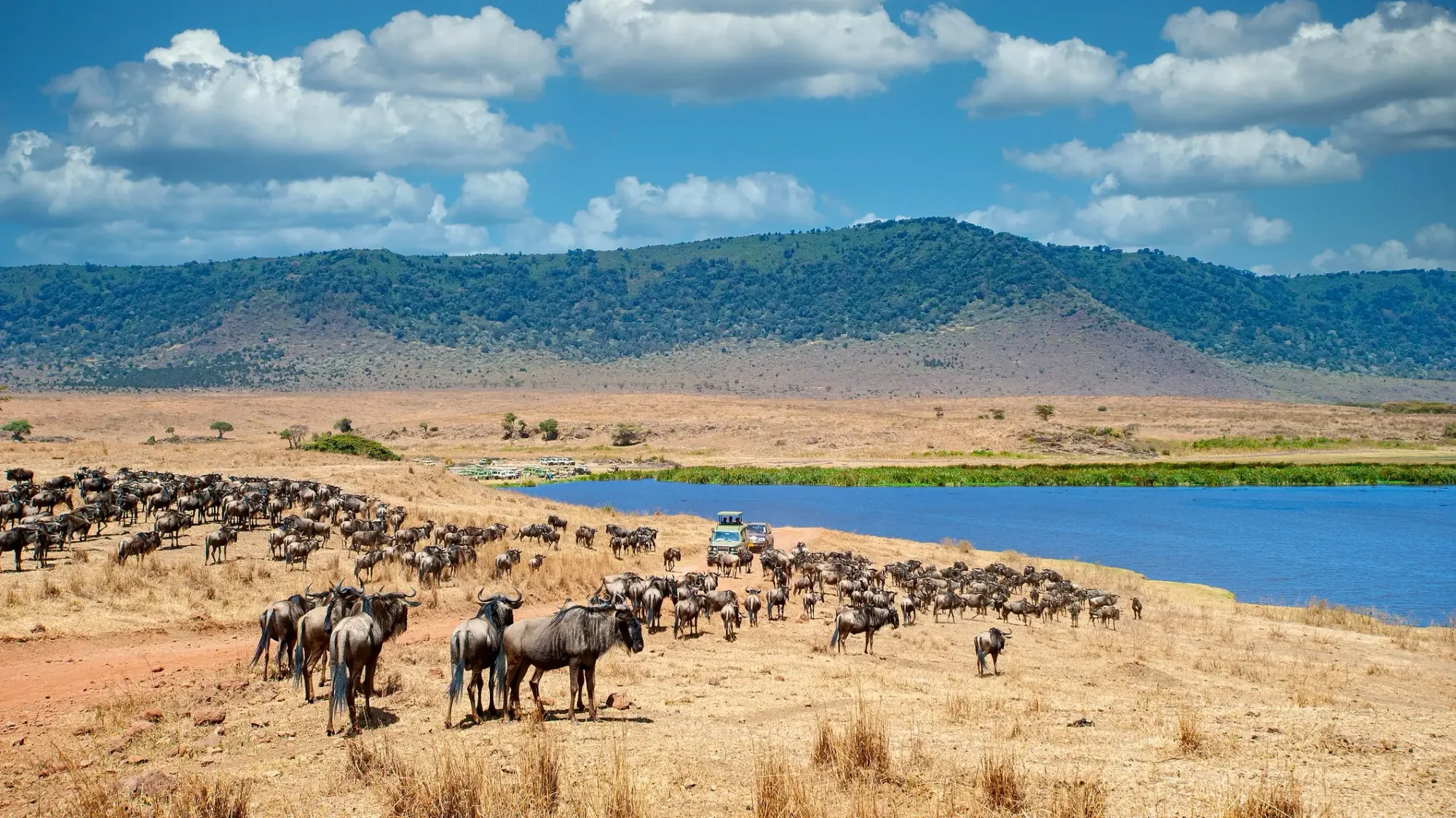 Circuit nord de 10 jours et Pemba Island — du pays du Big Five au Pemba Channel