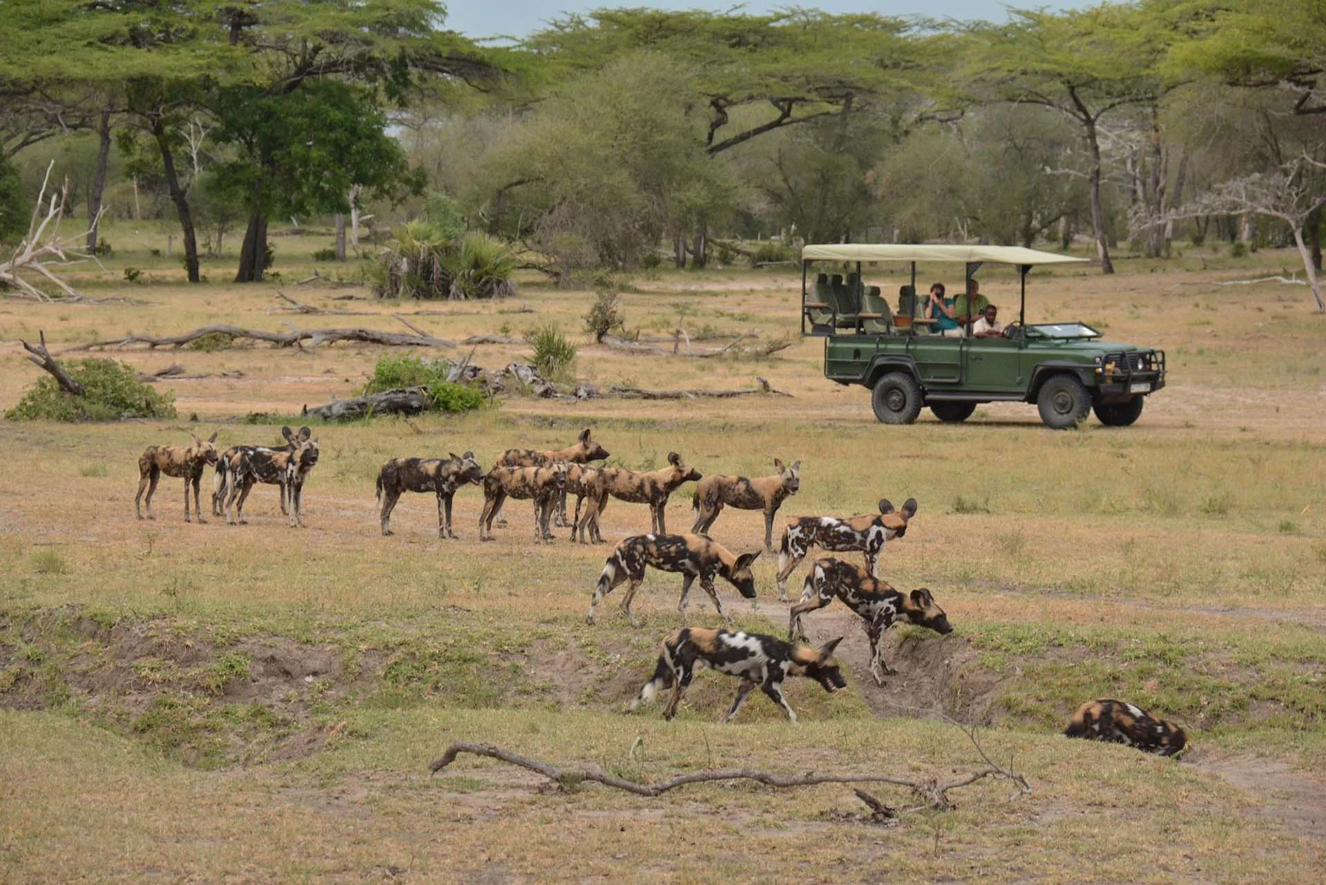Safari de 5 Días: Playa de Ras Kutani y Nyerere