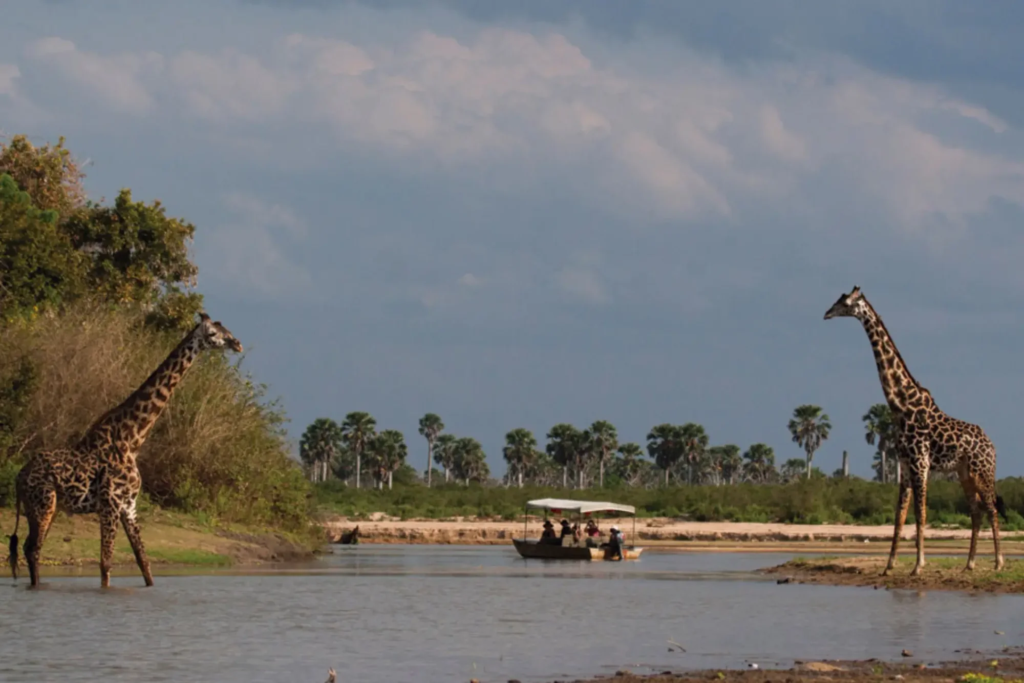 Safari de 7 días en avioneta a Nyerere + Zanzíbar