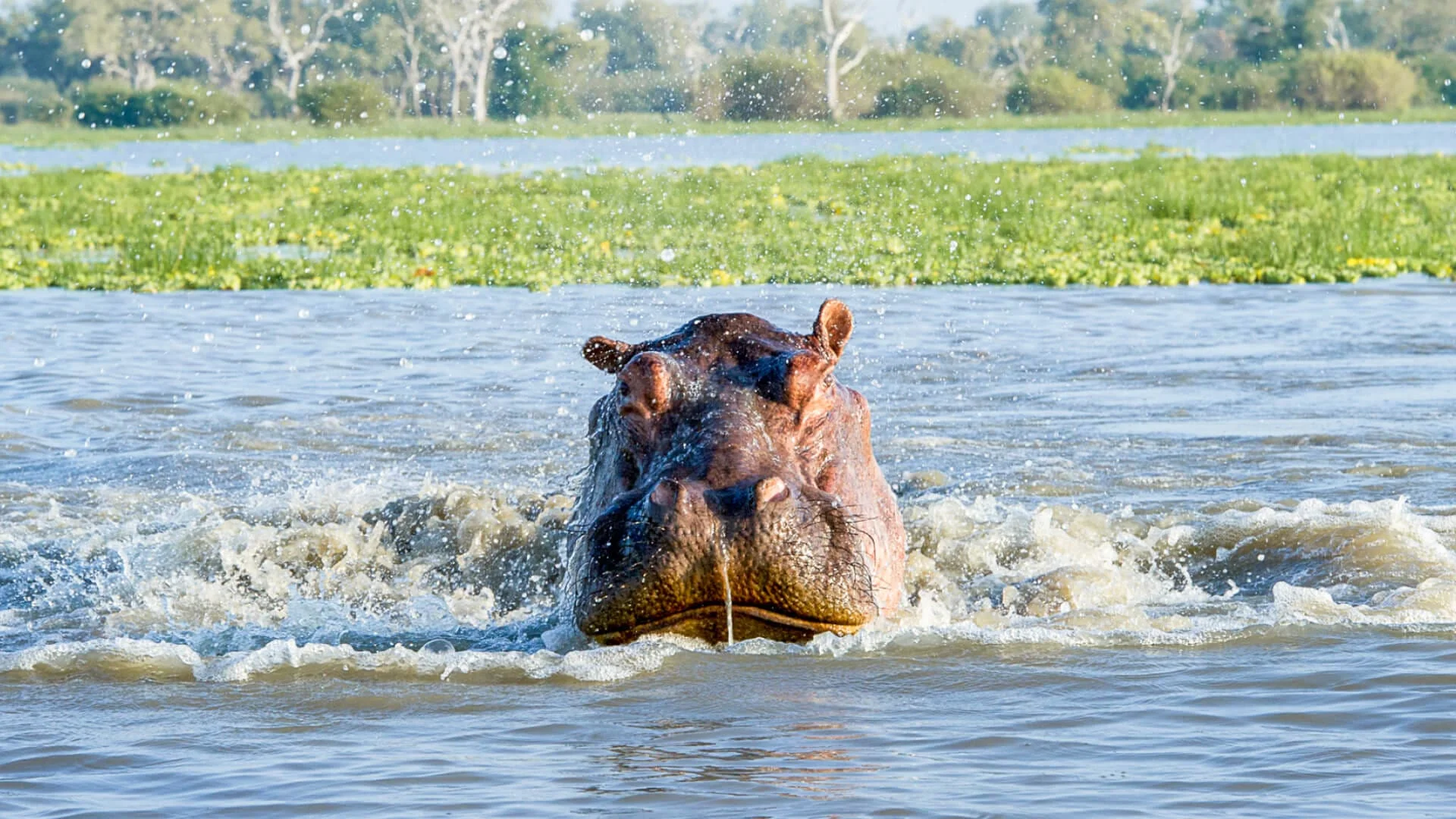 Safari de 5 Días en Avioneta a Nyerere
