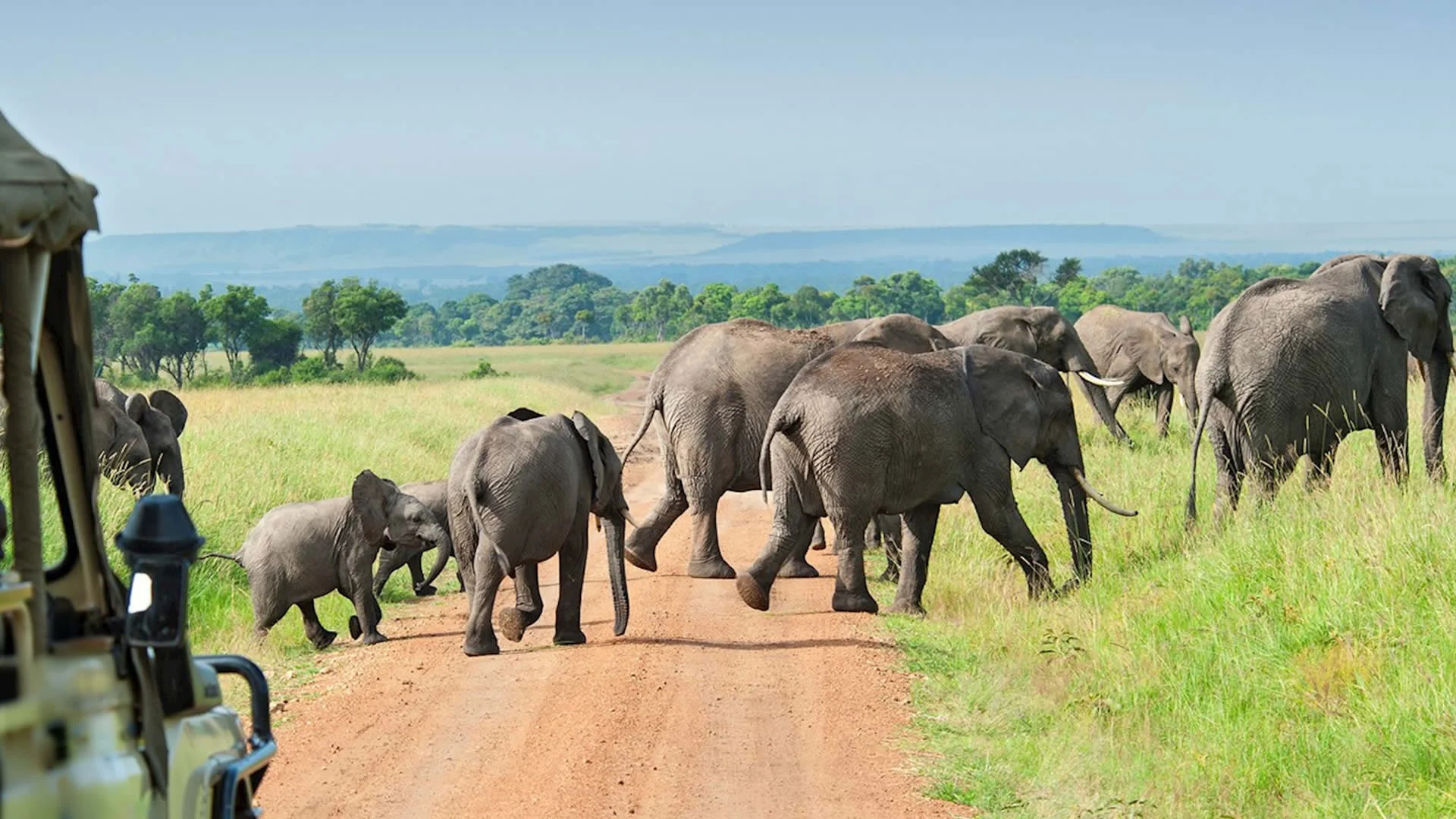 7 jours : Mikumi, Udzungwa et Nyerere vers Zanzibar (circuit sud compact)