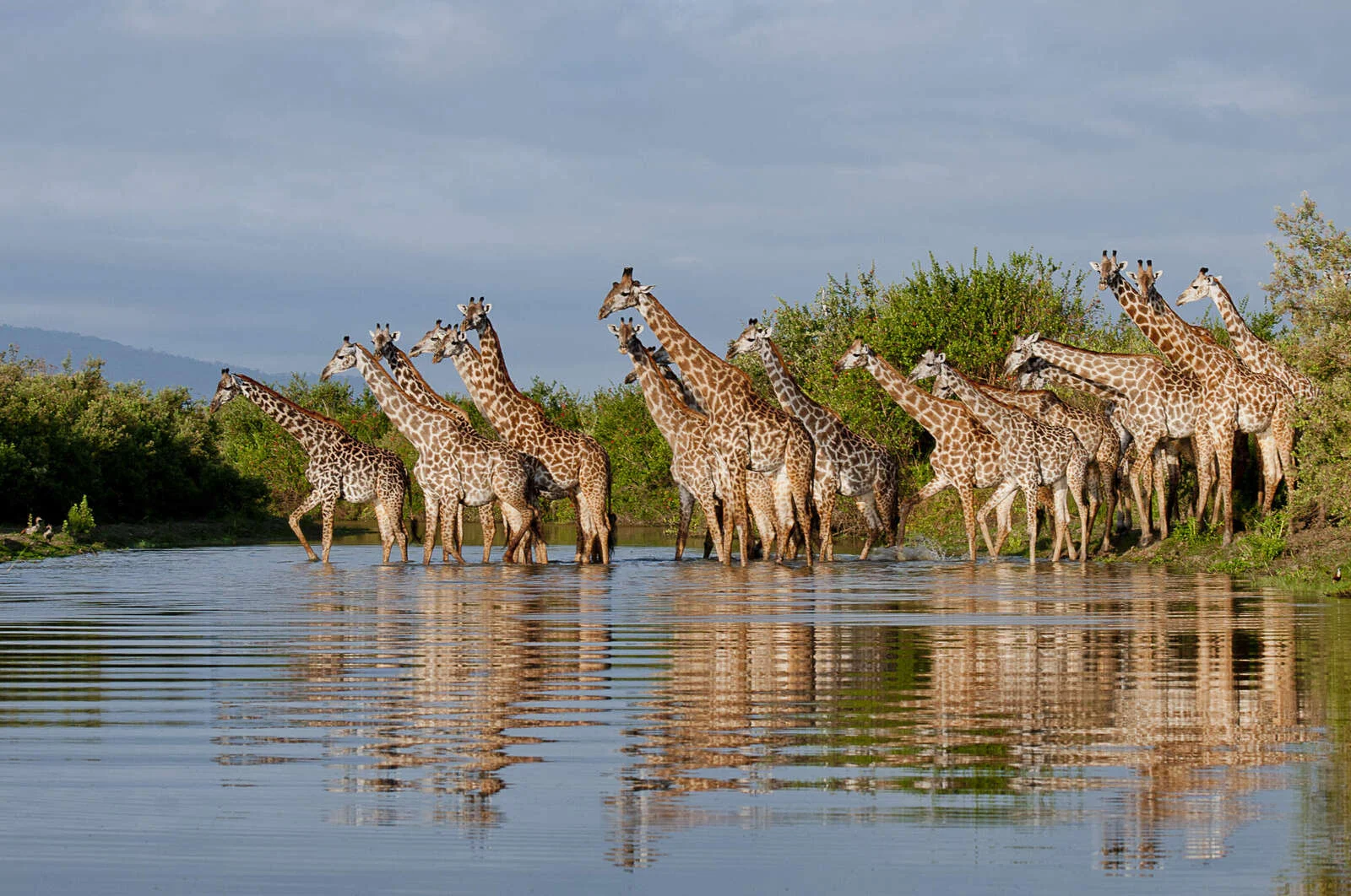 Safari de 7 días: Nyerere y la isla de Fanjove -- del parque más grande de África al lodge insular más pequeño de África