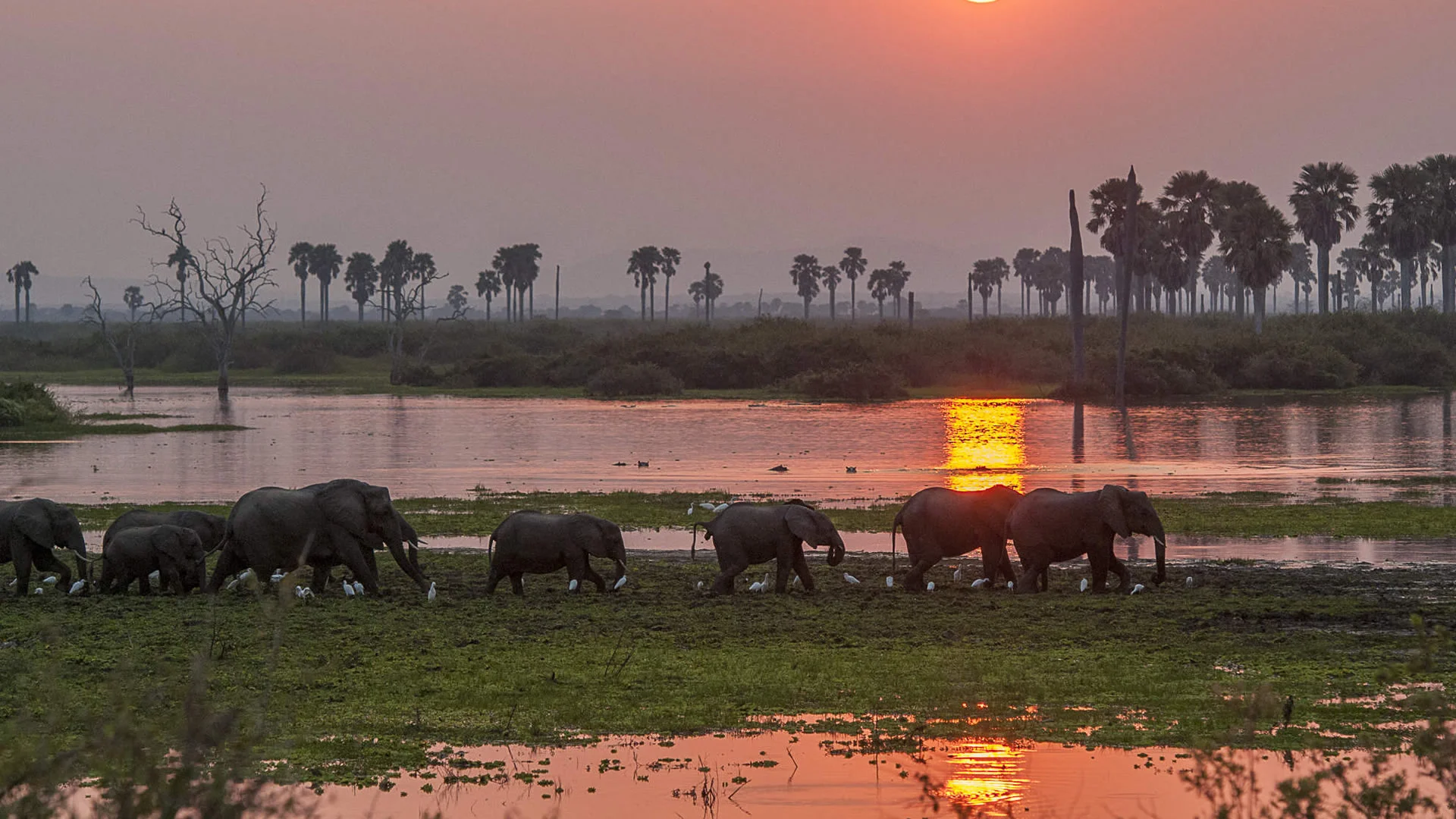 Safari de 7 Días y Costa Suajili — Nyerere, Saadani y Bagamoyo