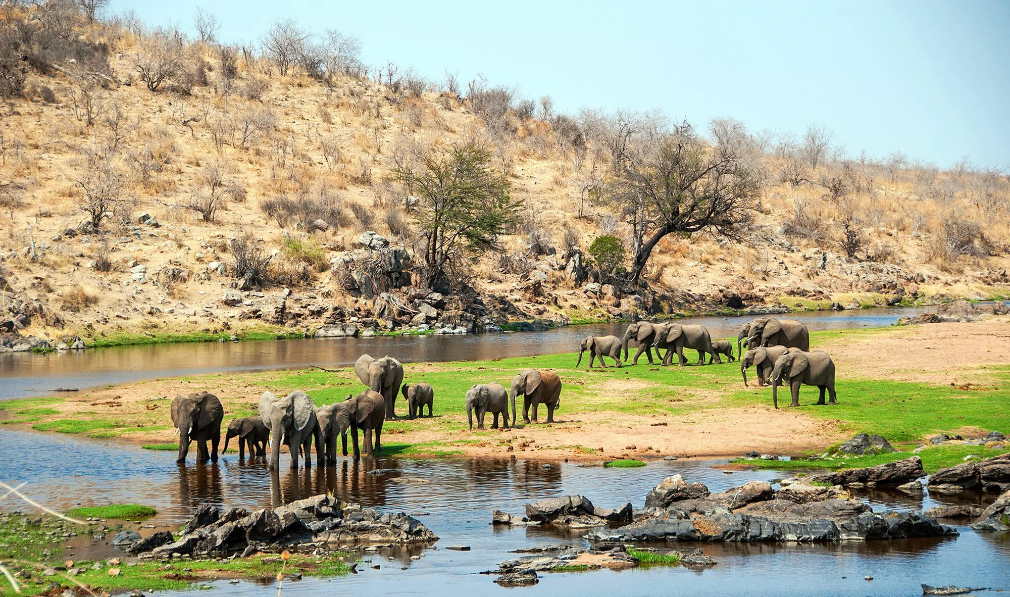 Ruaha National Park — 1