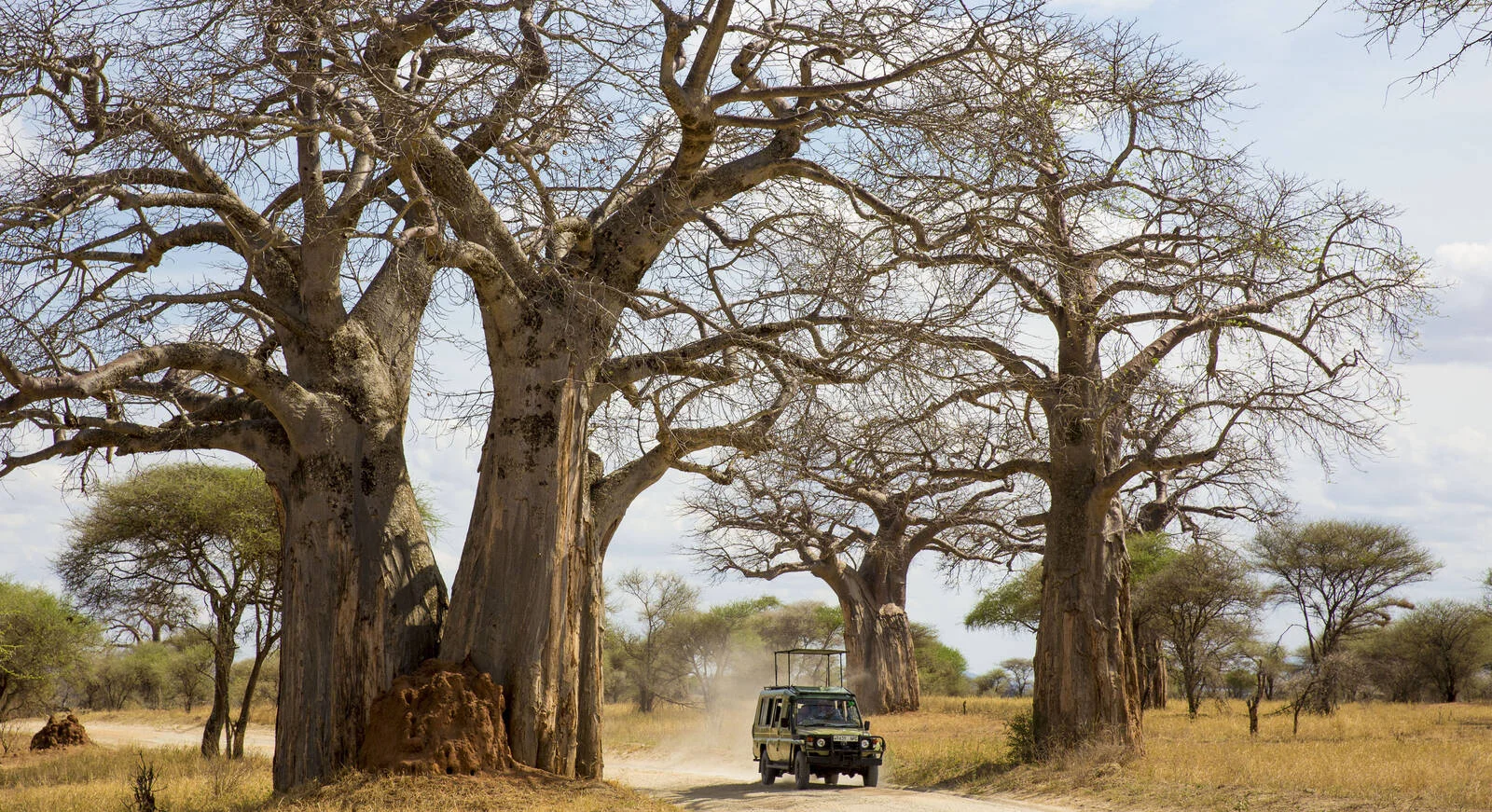 Ruaha National Park — 2