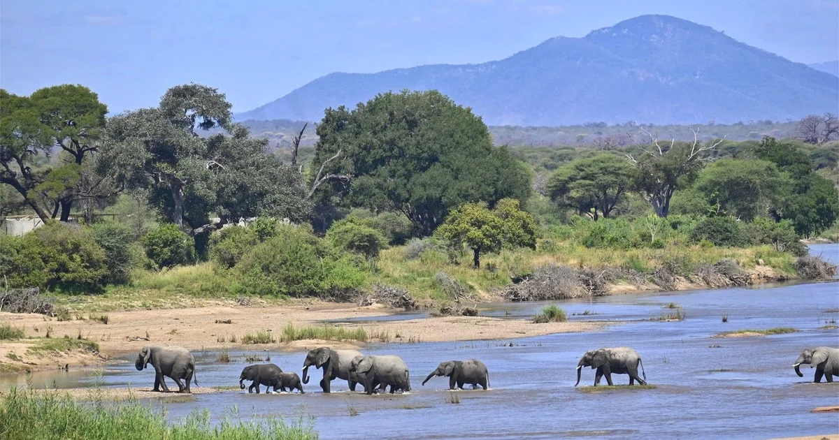 Safari di 8 Giorni: Circuito del Sud Nyerere & Ruaha