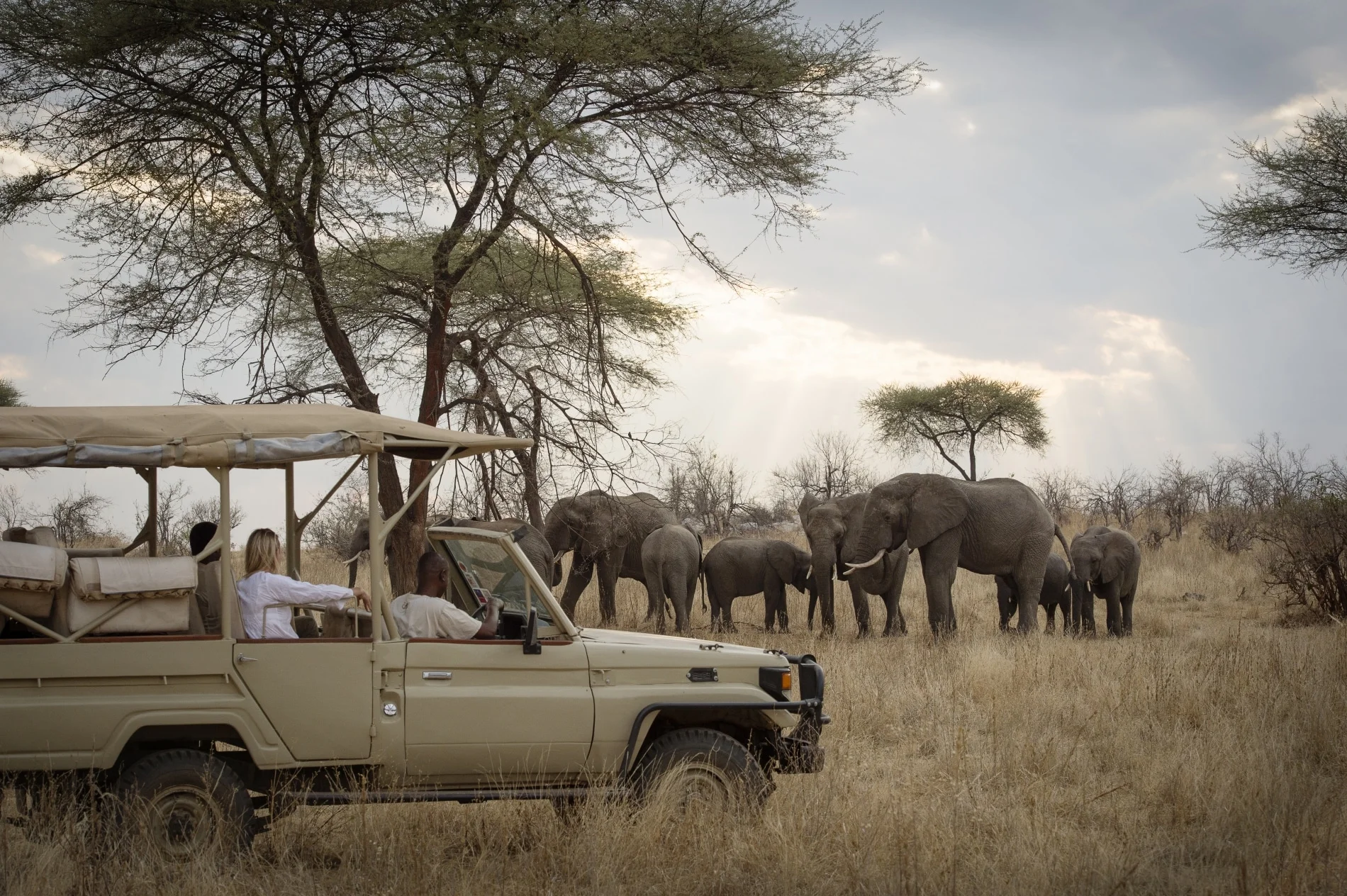 10 Giorni Safari nel Sud e Fanjove Island -- Nyerere, Ruaha e un'Isola Corallina Privata