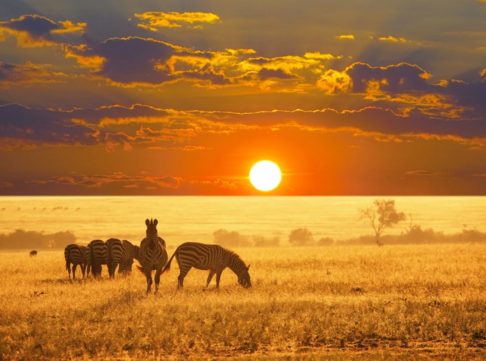 Il Meglio del Sud della Tanzania in 7 Giorni (Fly-In)