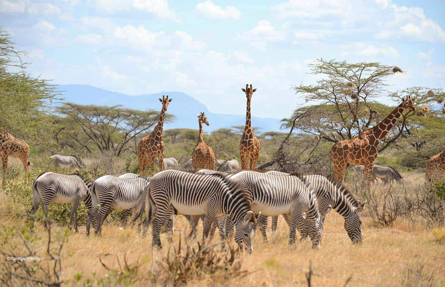 Samburu National Reserve — 1