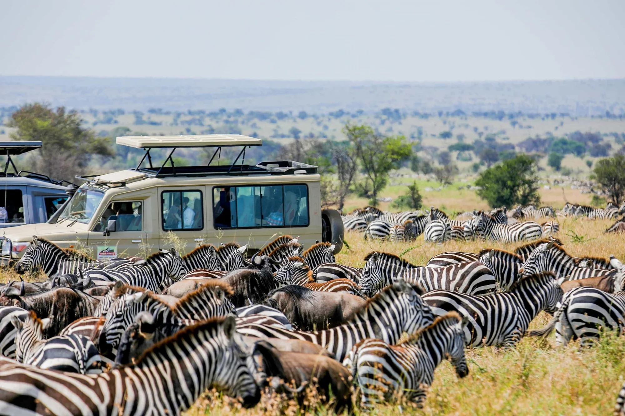 7-Day Comprehensive Northern Circuit Safari (Crater Finale)