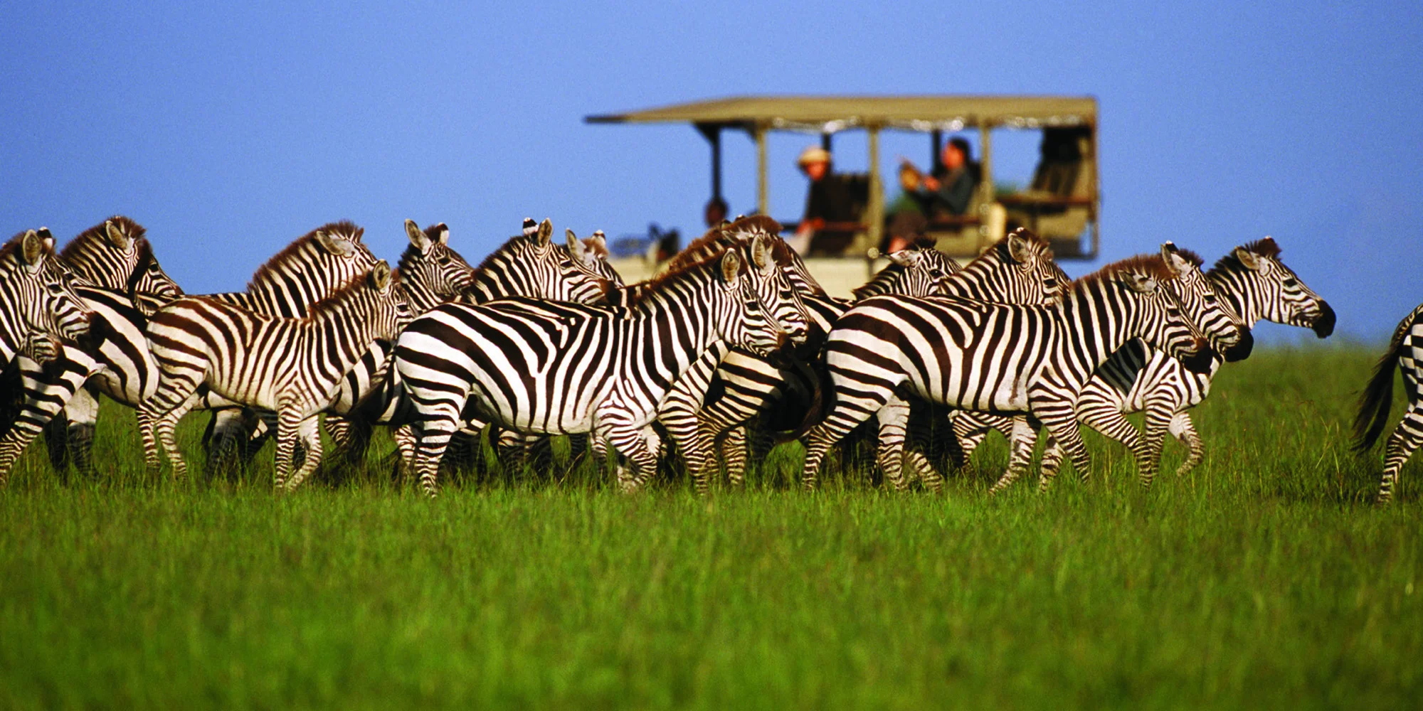 Serengeti National Park — 2