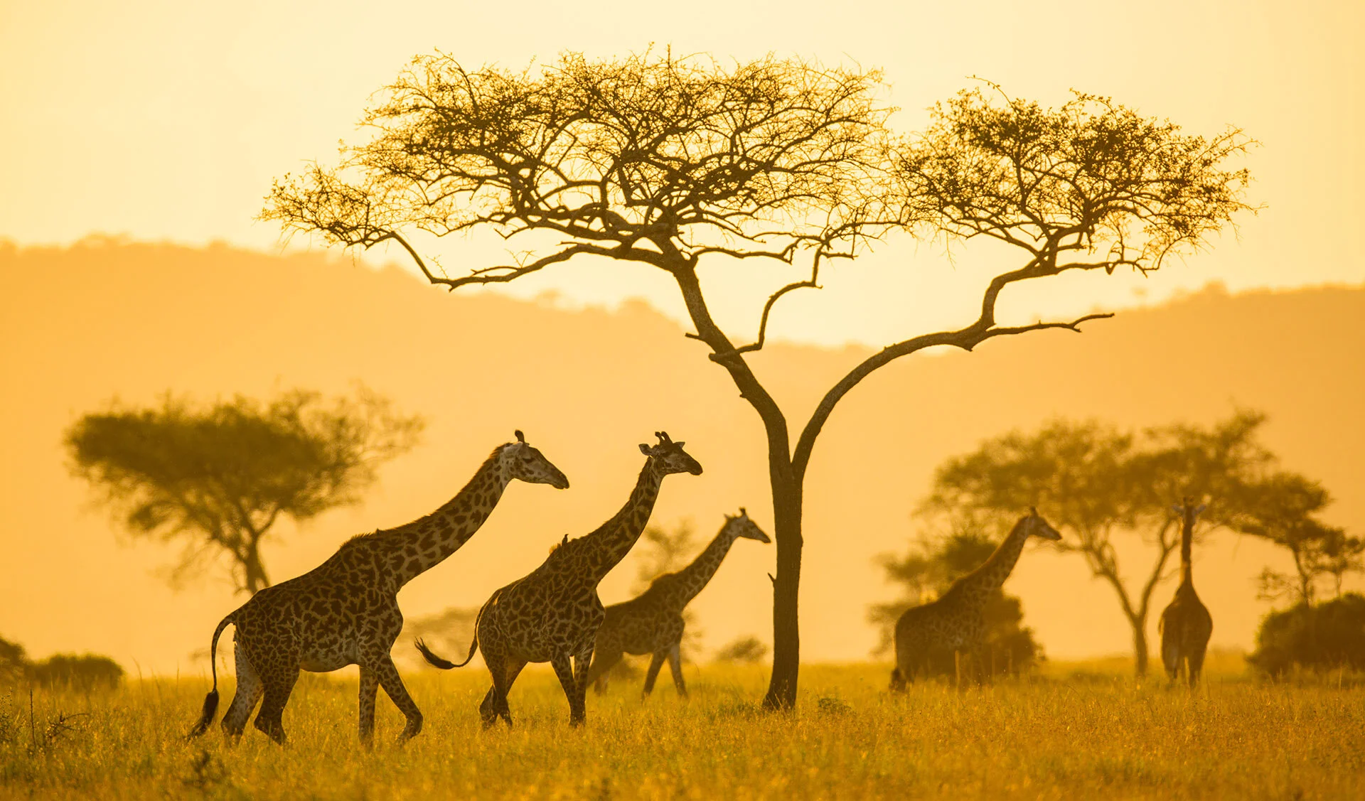 Serengeti National Park — 5