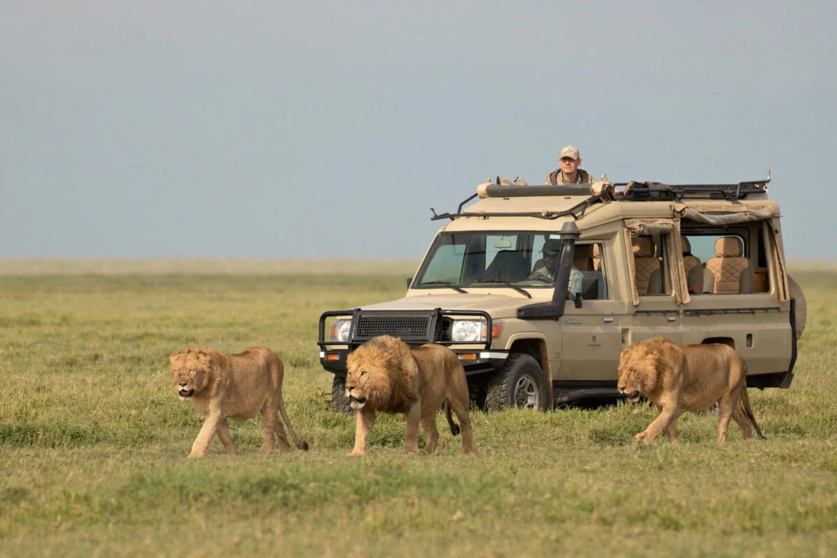 9-Day Incredible Northern Tanzania Safari