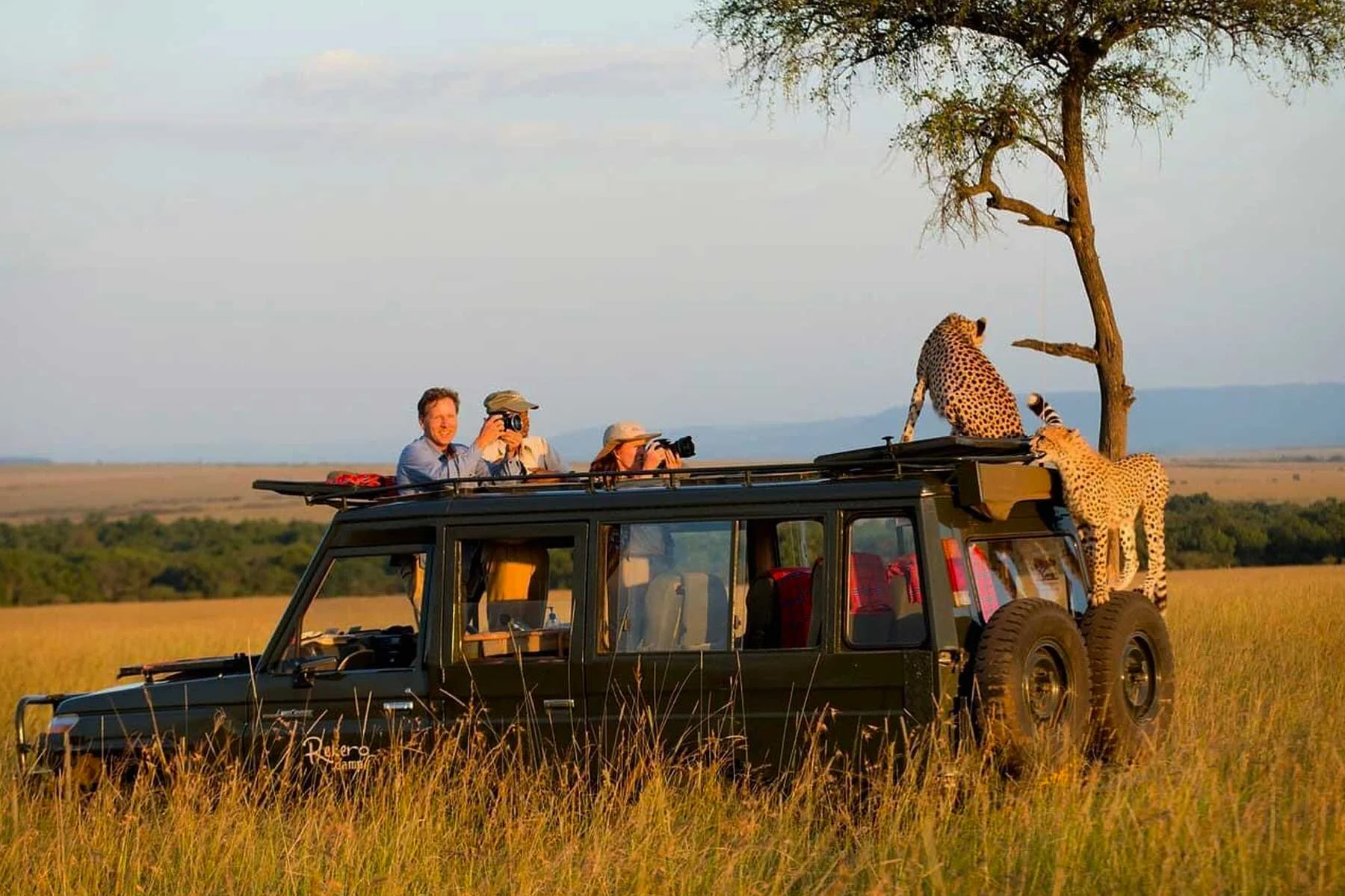 Safari Ultra-Lusso di 8 Giorni: il Meglio di Ngorongoro e Serengeti