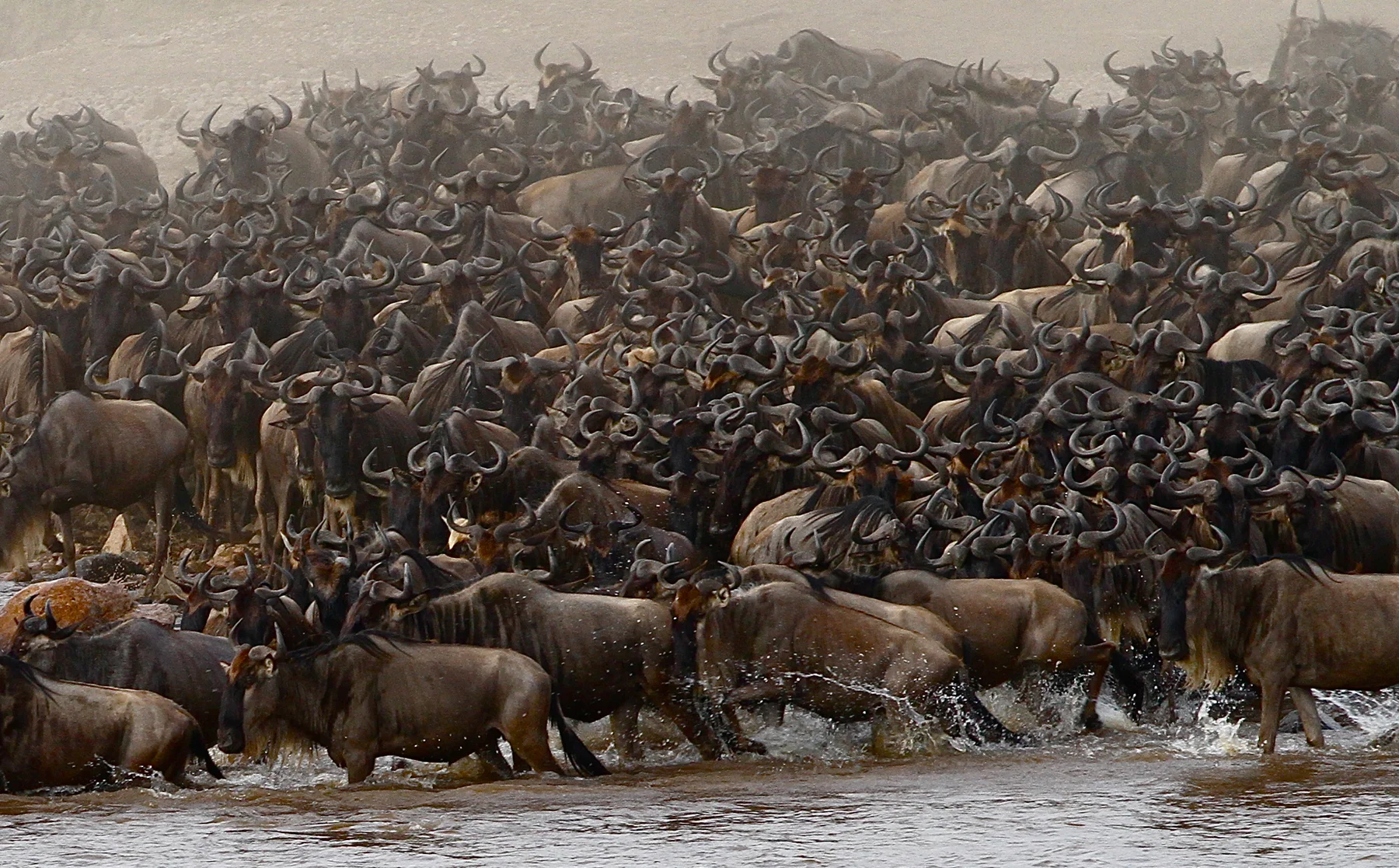 6-Day Ngorongoro Crater & Serengeti Migration Ultra-Luxury Safari