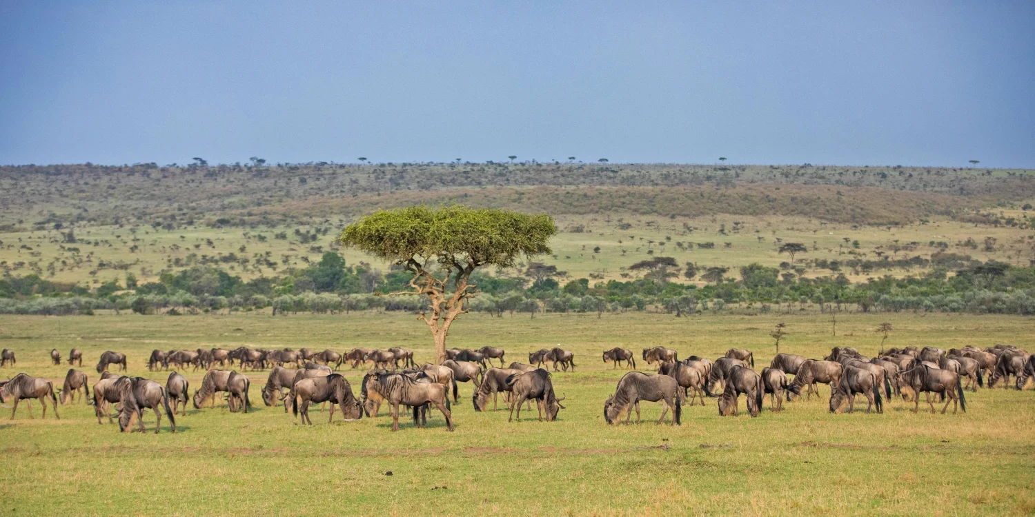 Safari de 8 jours dans le Circuit Nord, au rythme détendu