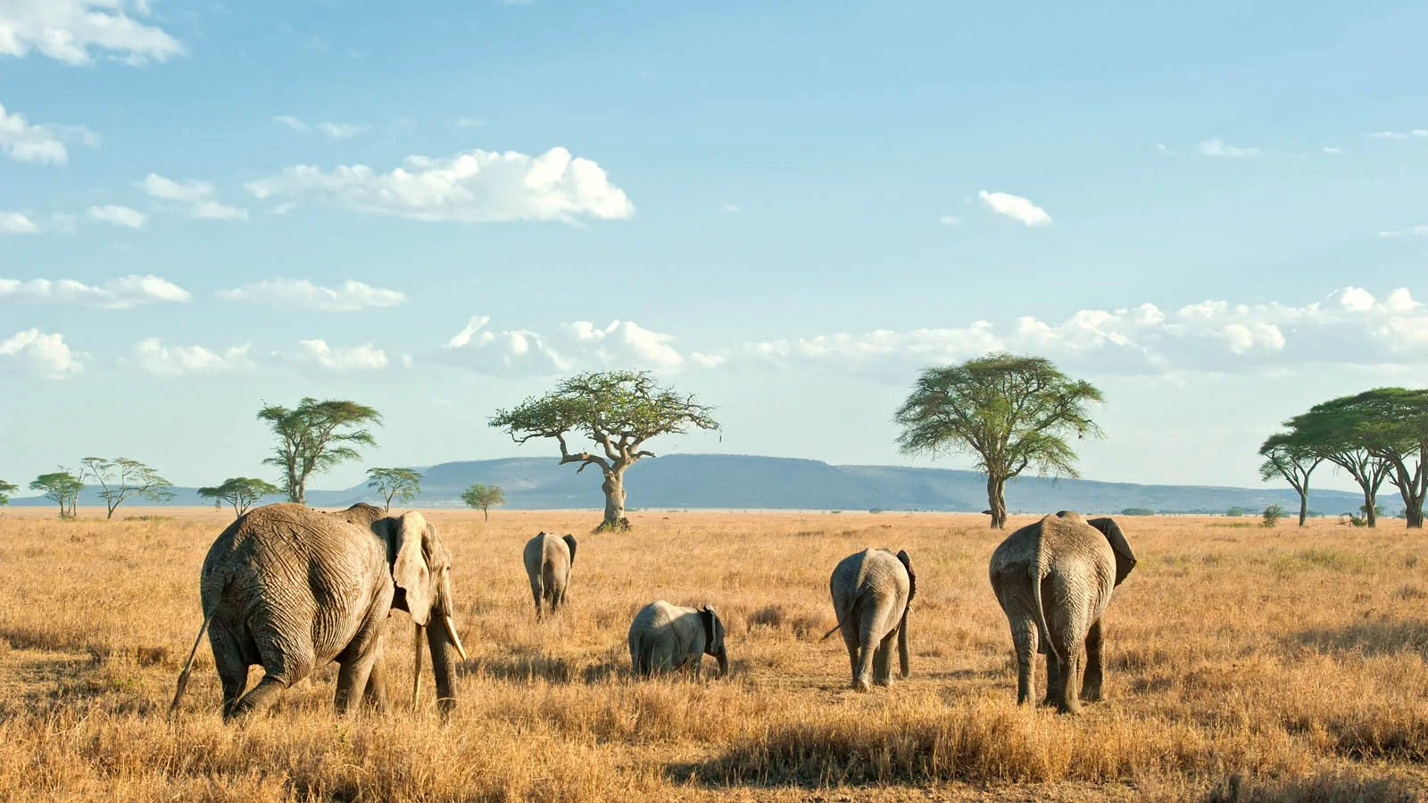 13-Day Showcasing Kenya & Tanzania Ultra-Luxury Safari