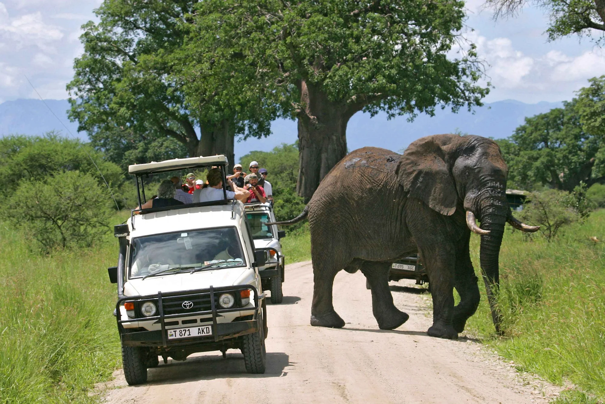 Tarangire National Park — 1