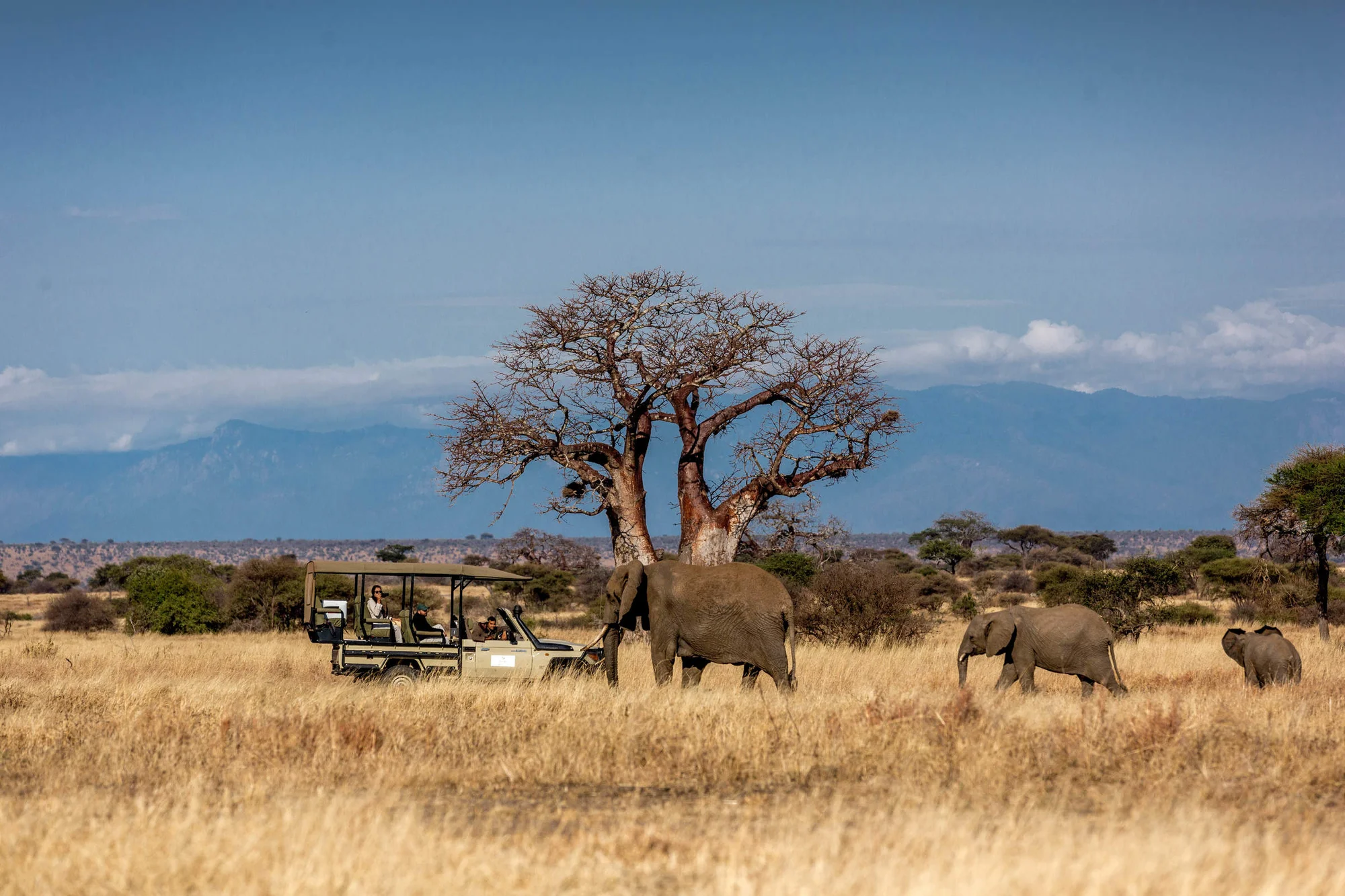 Tarangire National Park — 2