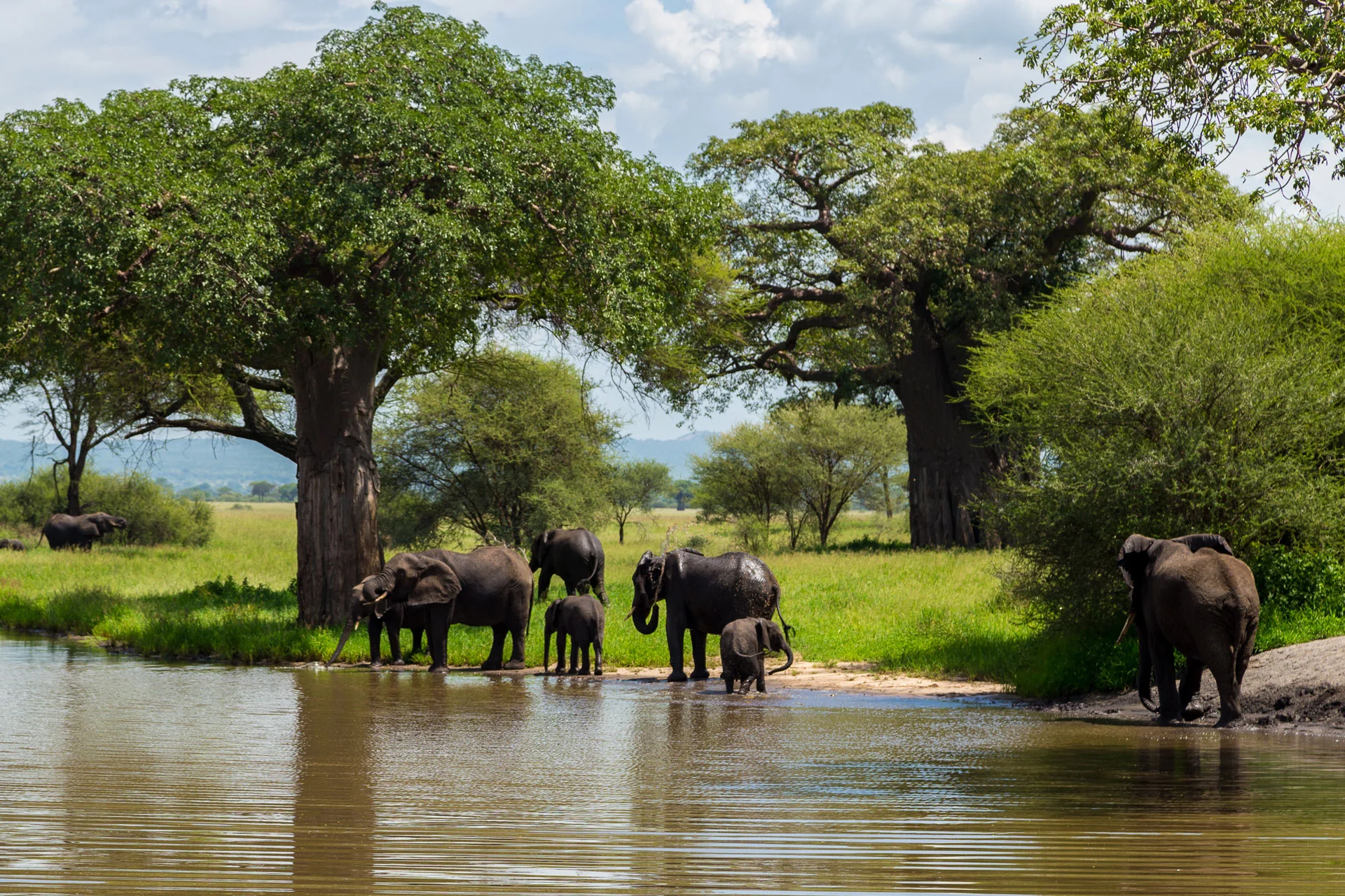 Tarangire National Park — 5