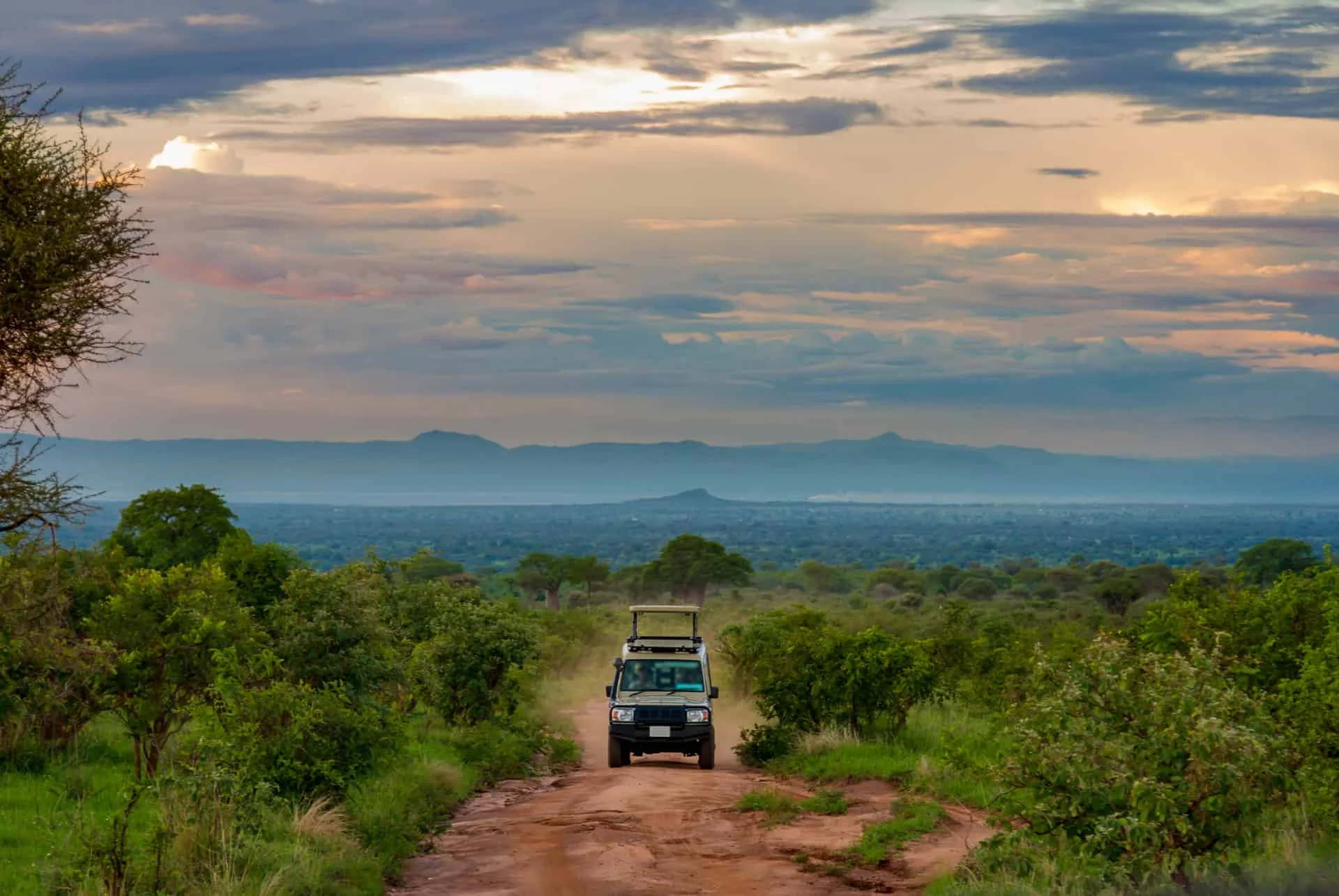Safari profond de 5 jours à Tarangire avec le marais de Silale