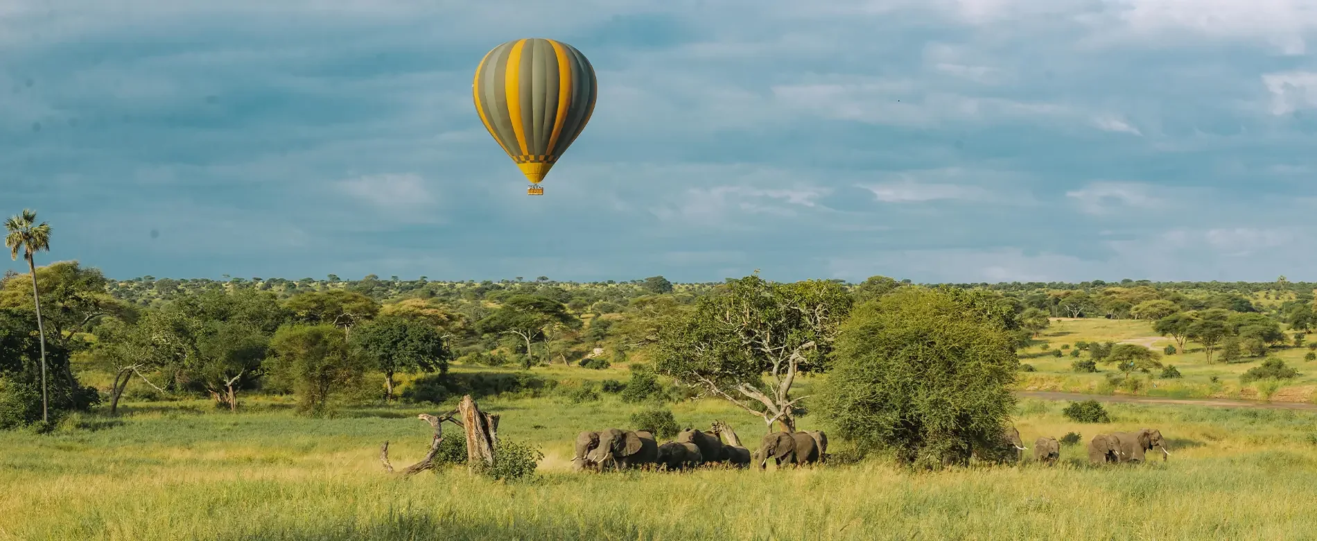 10-Day Northern Safari and Mahale Chimpanzee Trek
