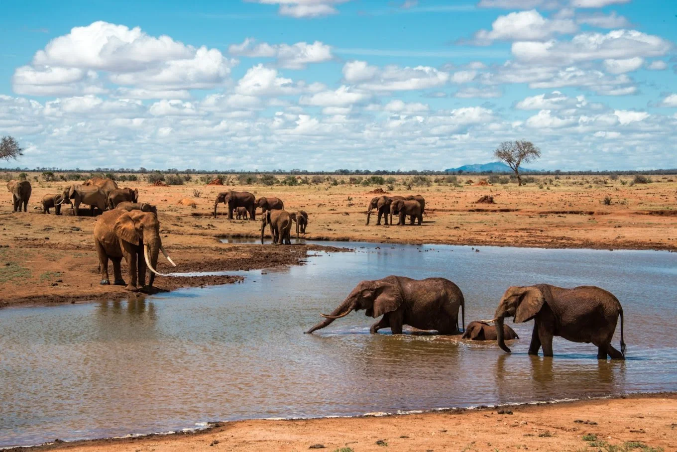 Tsavo East National Park — 1