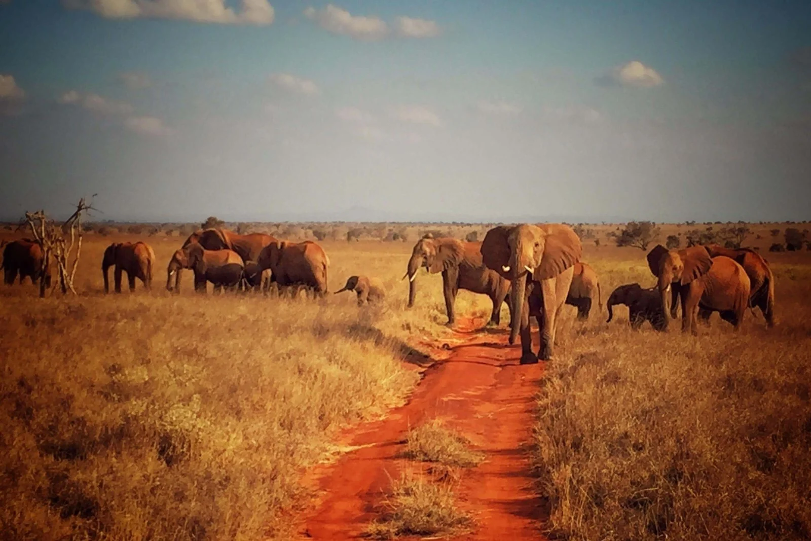 Tsavo East National Park — 2