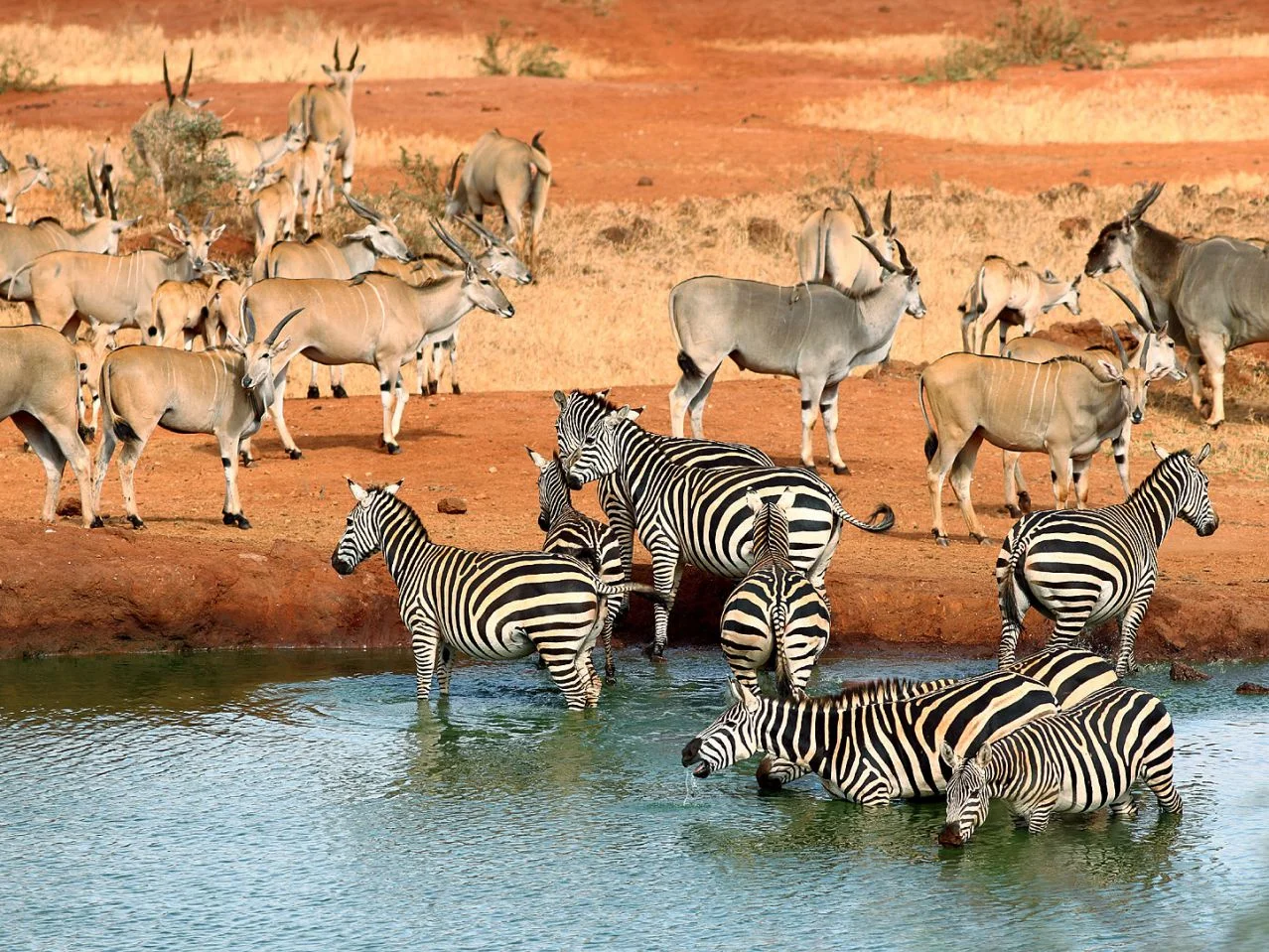 Tsavo East National Park — 4