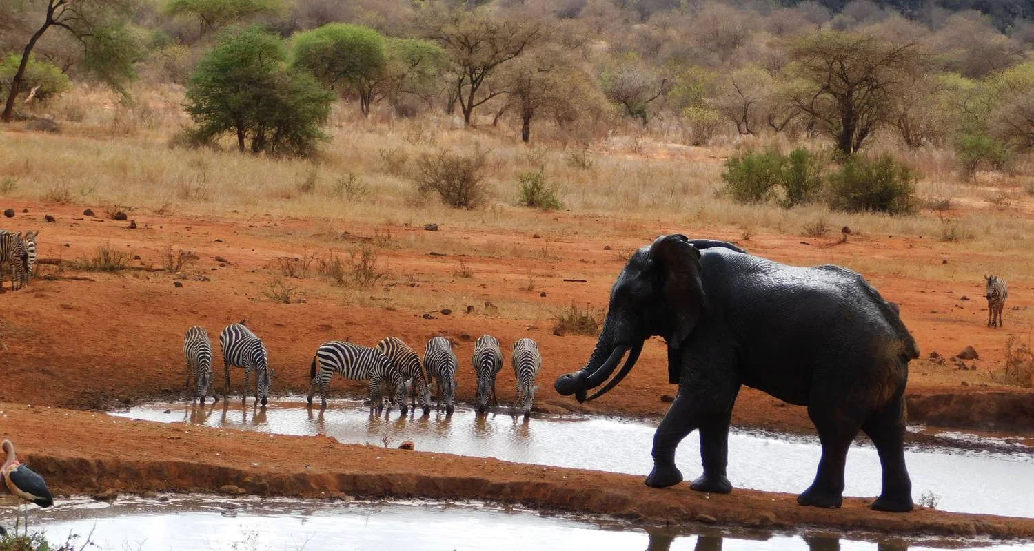 Tsavo West National Park — 1