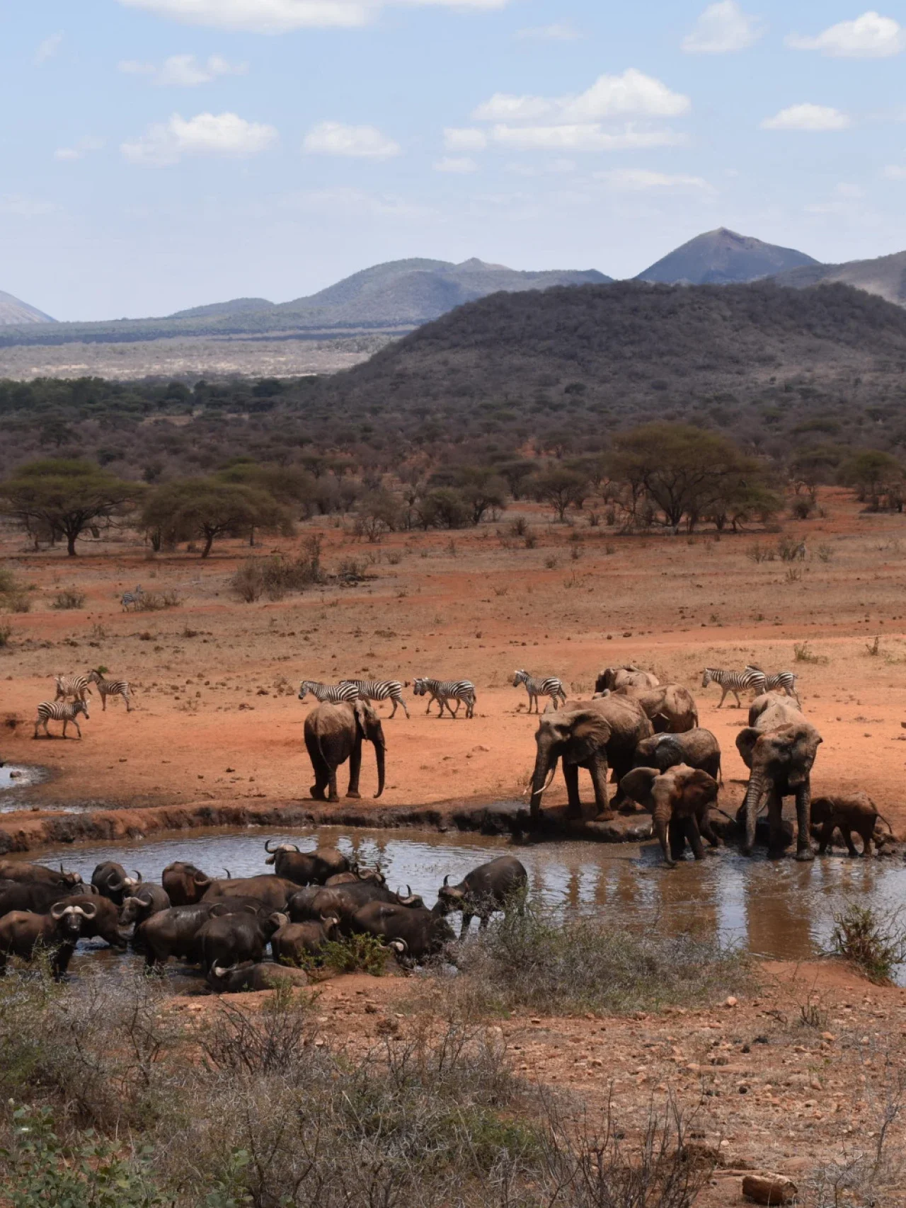 Tsavo West National Park — 2