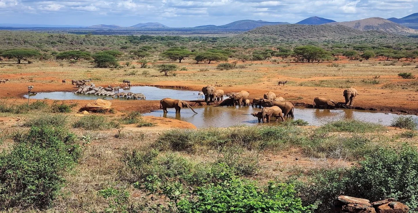 Safari en avion privé de 3 jours à Tsavo West