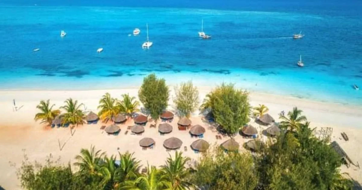 Grande Safari di 14 Giorni Tanzania + Kenya + Zanzibar