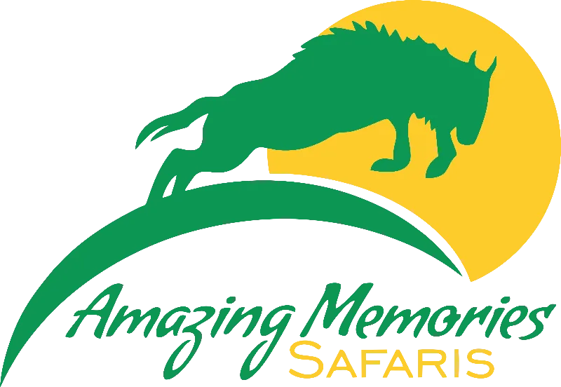 Amazing Memories Safaris