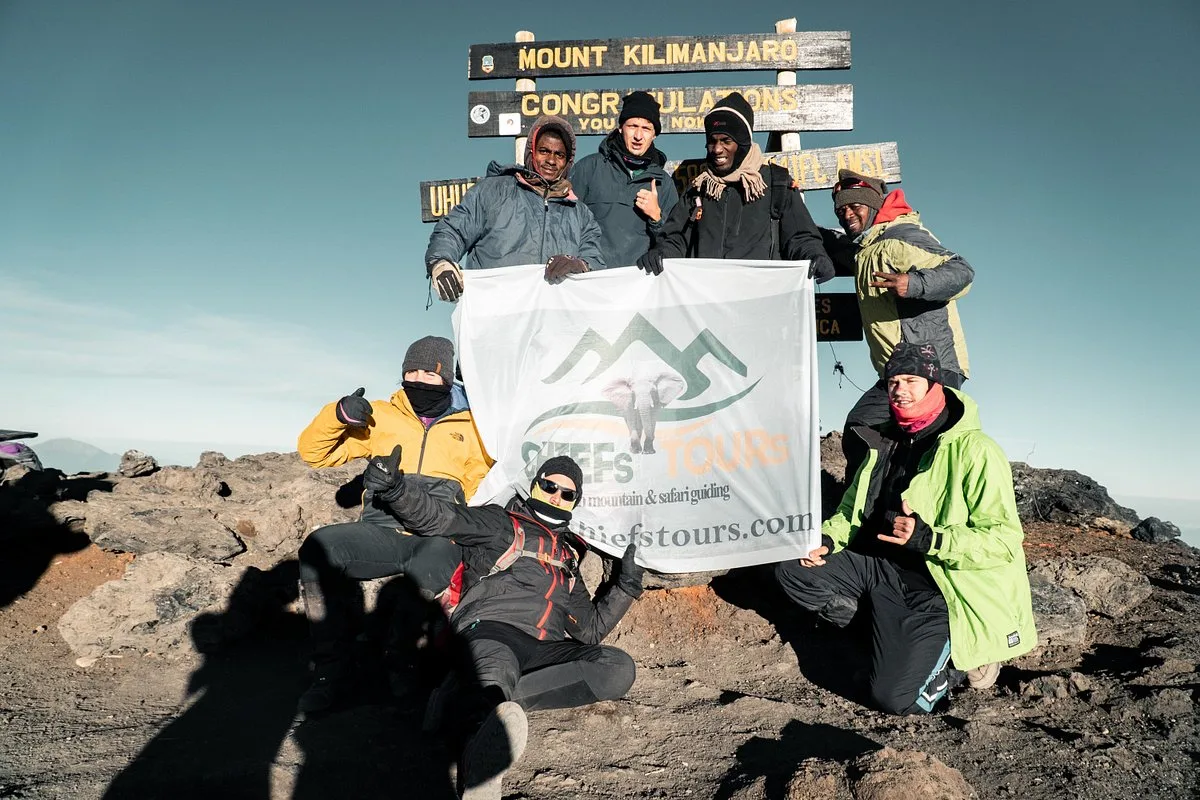 Chiefs Tours Limited — image 1