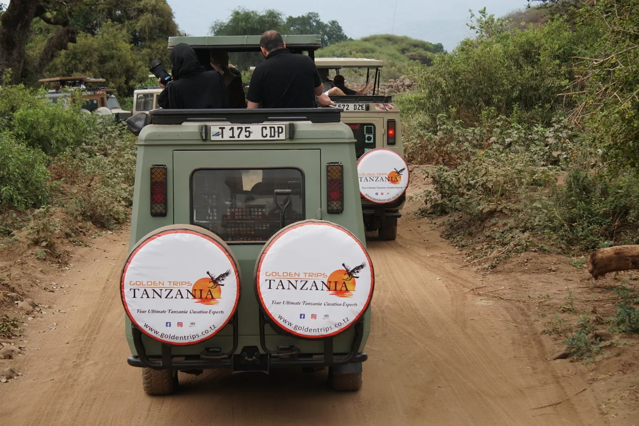 Golden Trips Tanzania — image 3