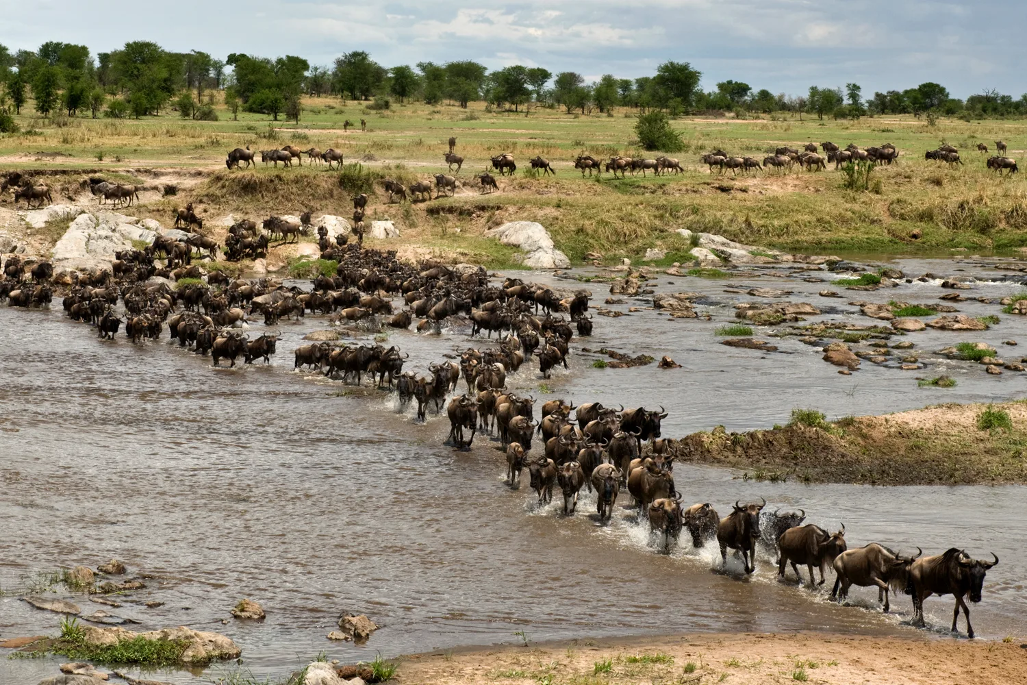 HAZINA AFRIKA — image 2